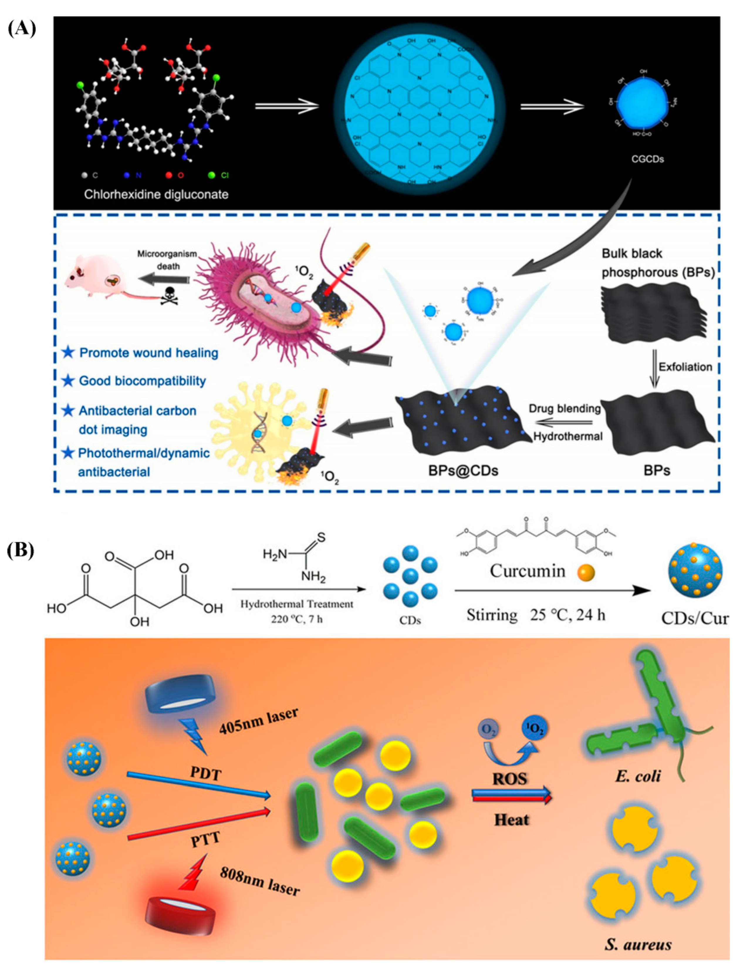 Carbon Dots for Killing Microorganisms: An Update since 2019