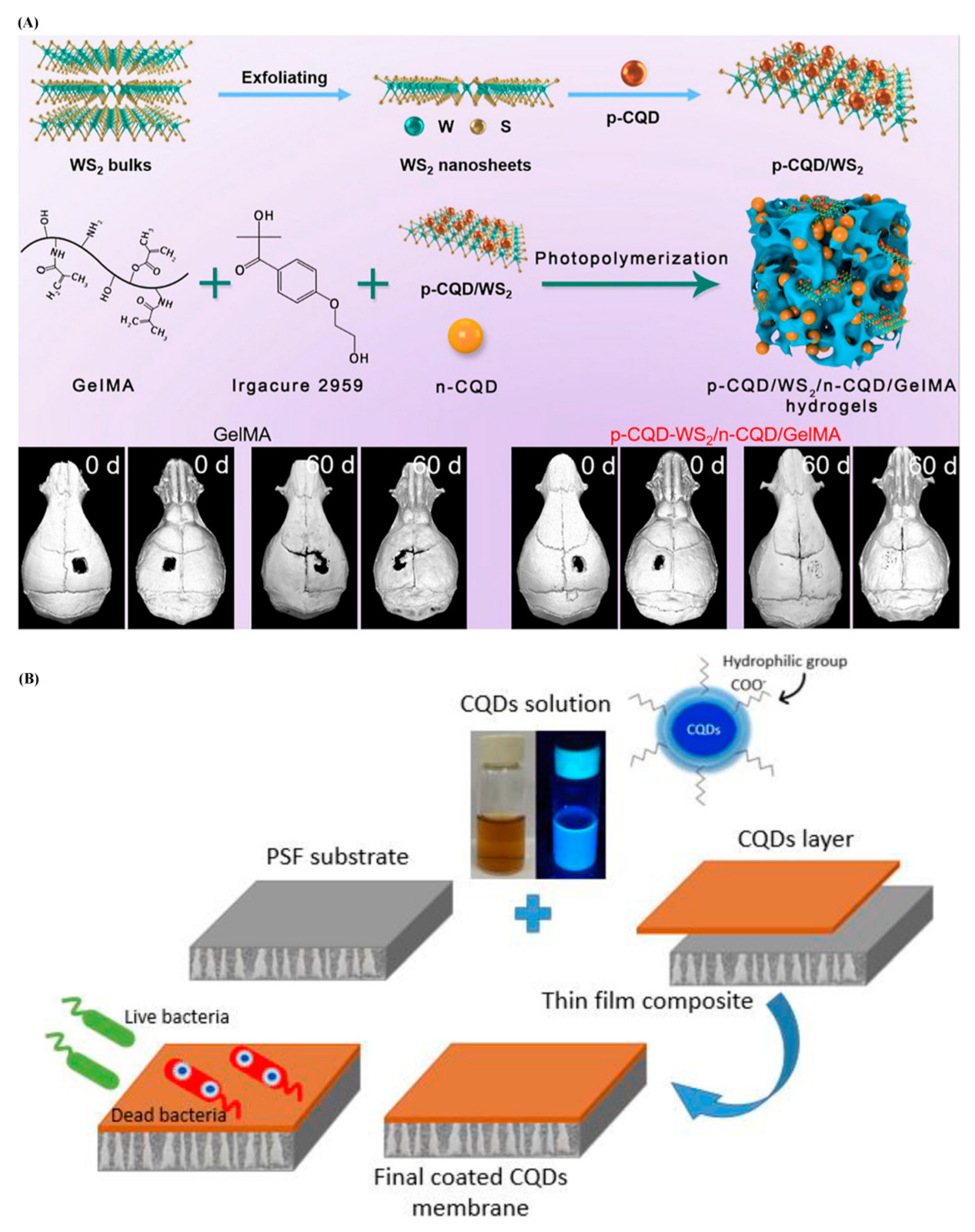 Pharmaceuticals 15 01236 g006 Pharmaceuticals 15 01236 g006