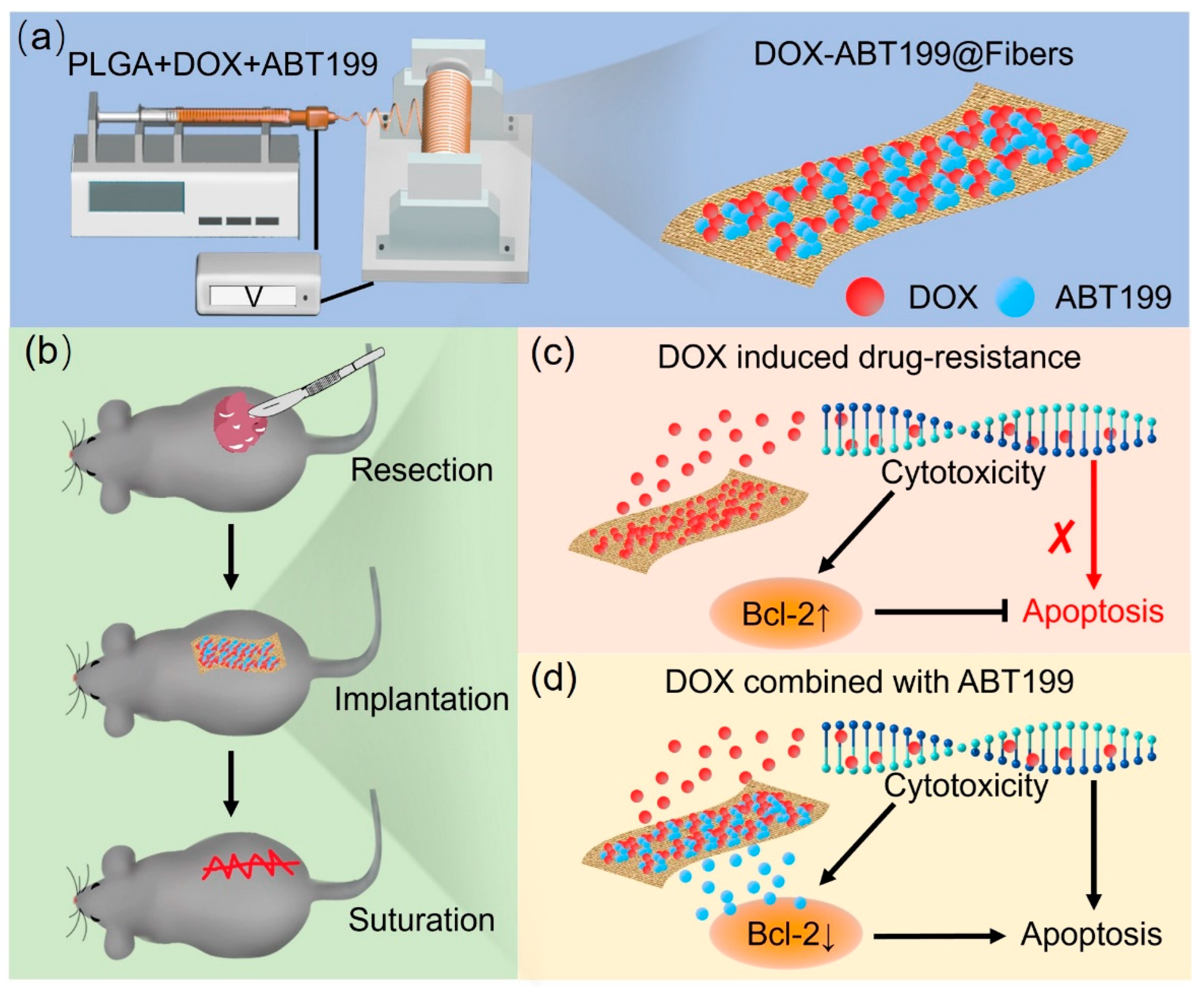 Pharmaceuticals 15 01244 g001