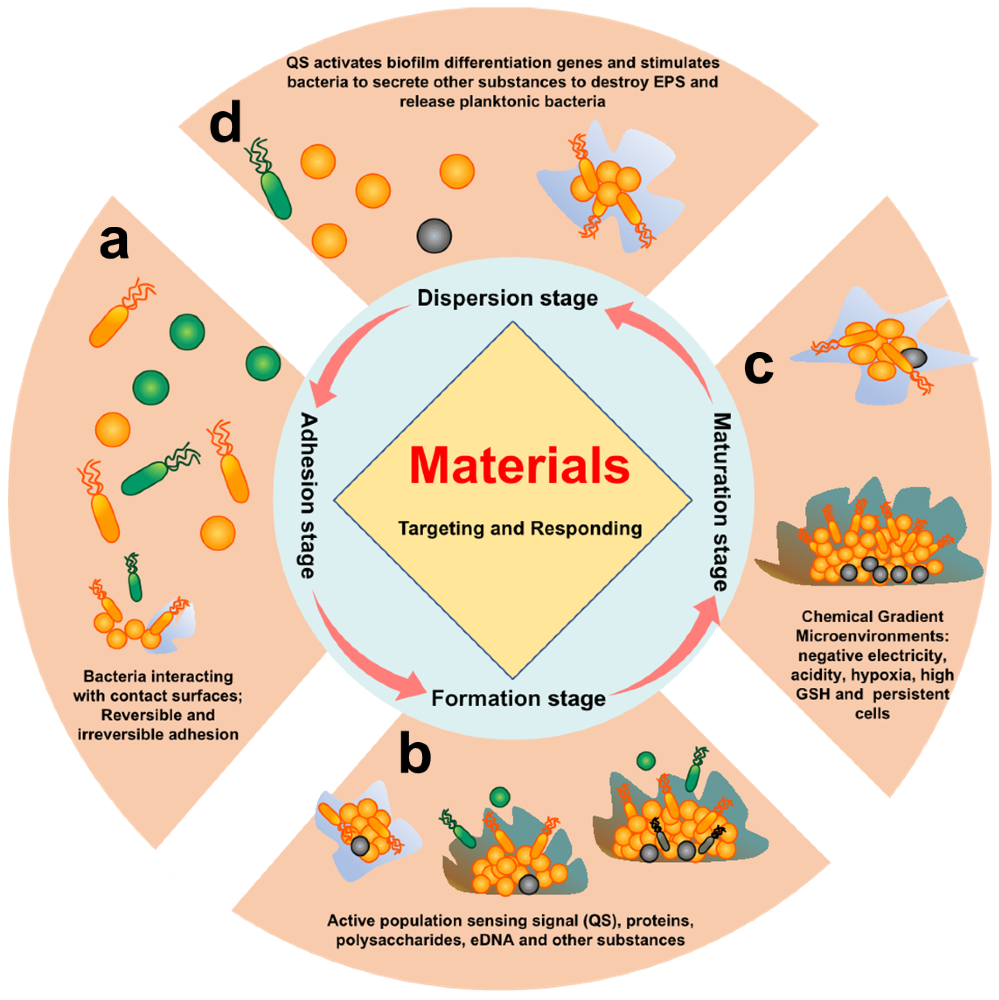 Nanoparticles for Oral Biofilm Treatments