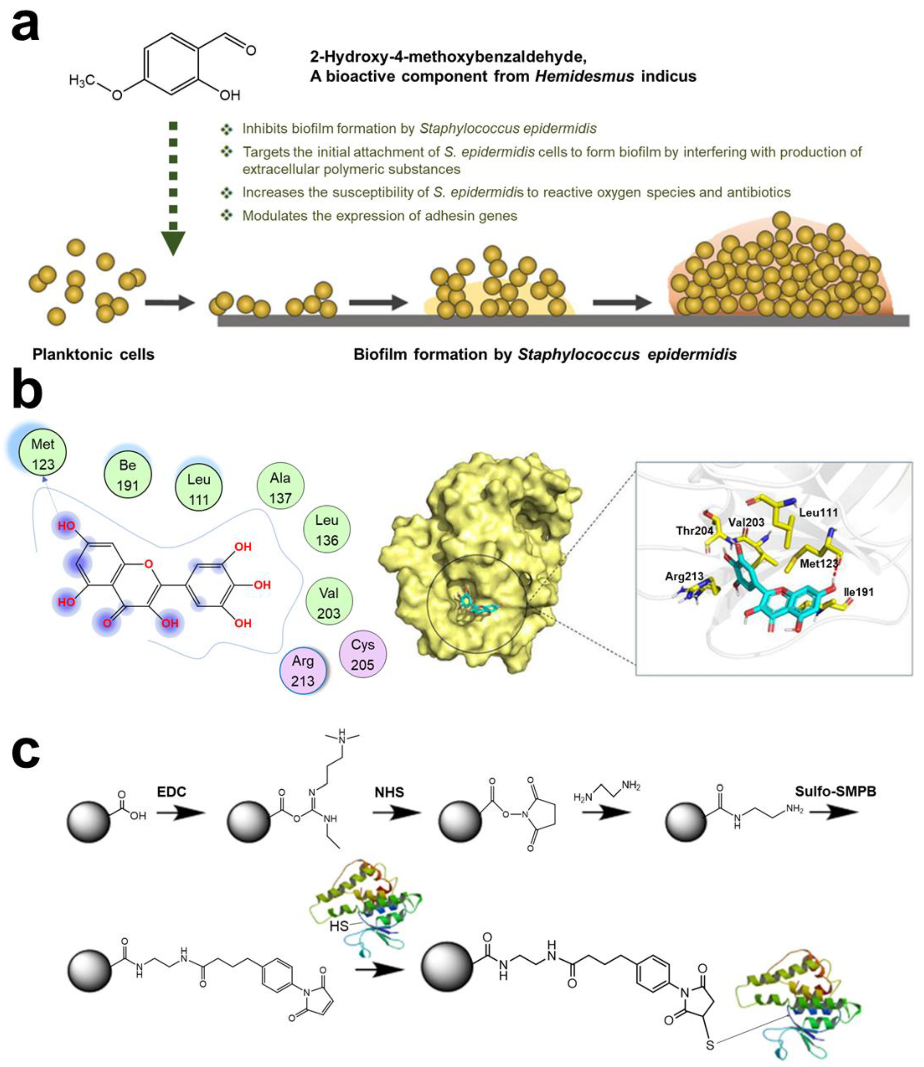 Pharmaceuticals 15 01253 g002 Pharmaceuticals 15 01253 g002