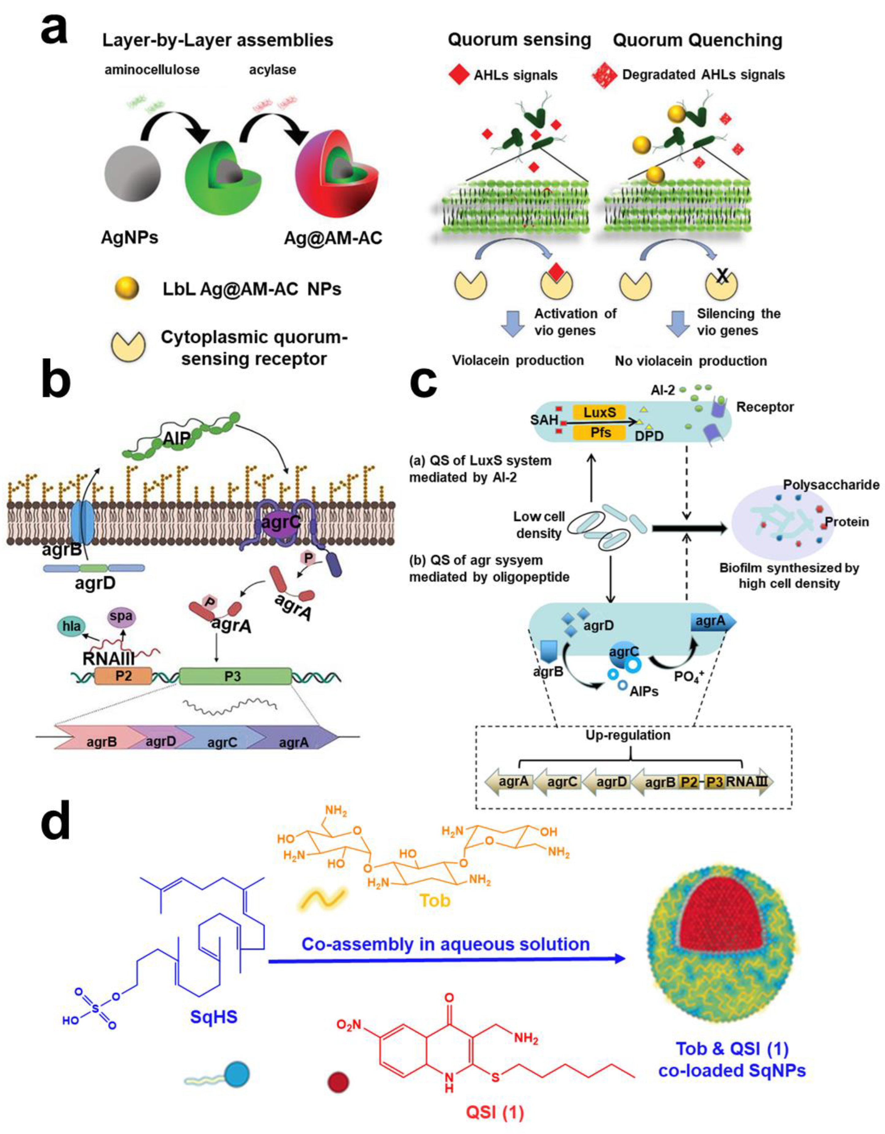 Pharmaceuticals 15 01253 g005 Pharmaceuticals 15 01253 g005