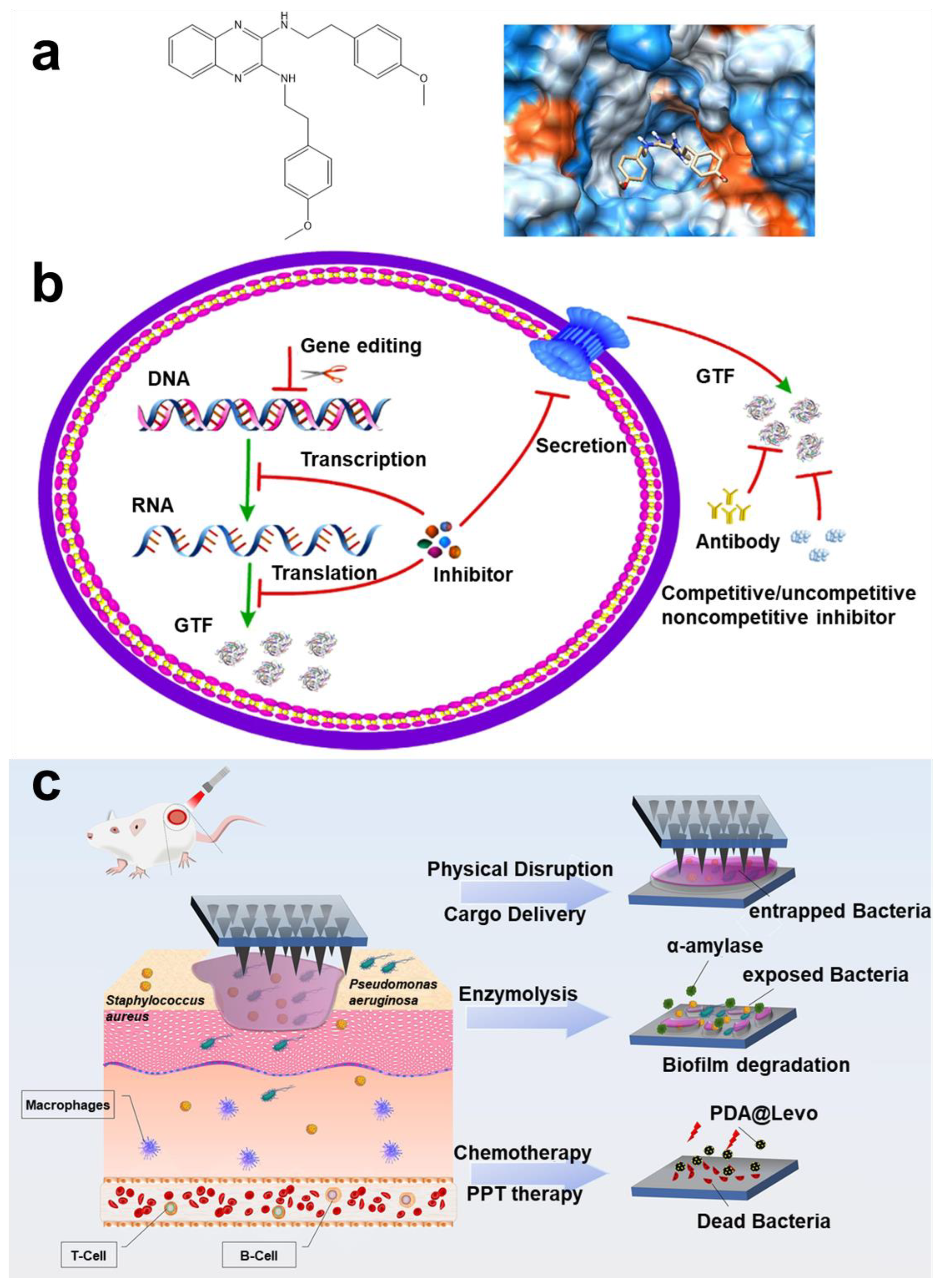 Pharmaceuticals 15 01253 g006 Pharmaceuticals 15 01253 g006