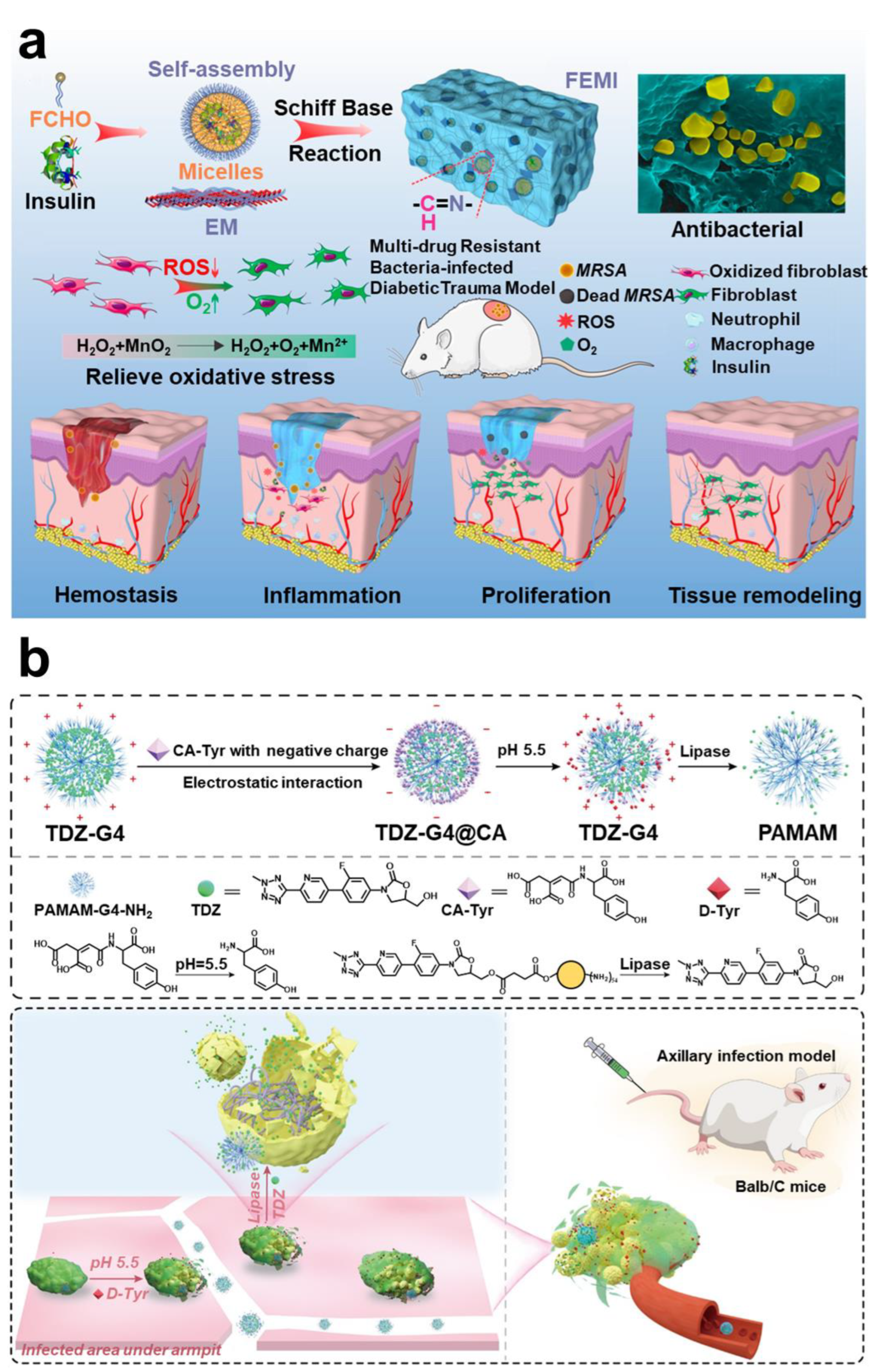 Pharmaceuticals 15 01253 g010 Pharmaceuticals 15 01253 g010