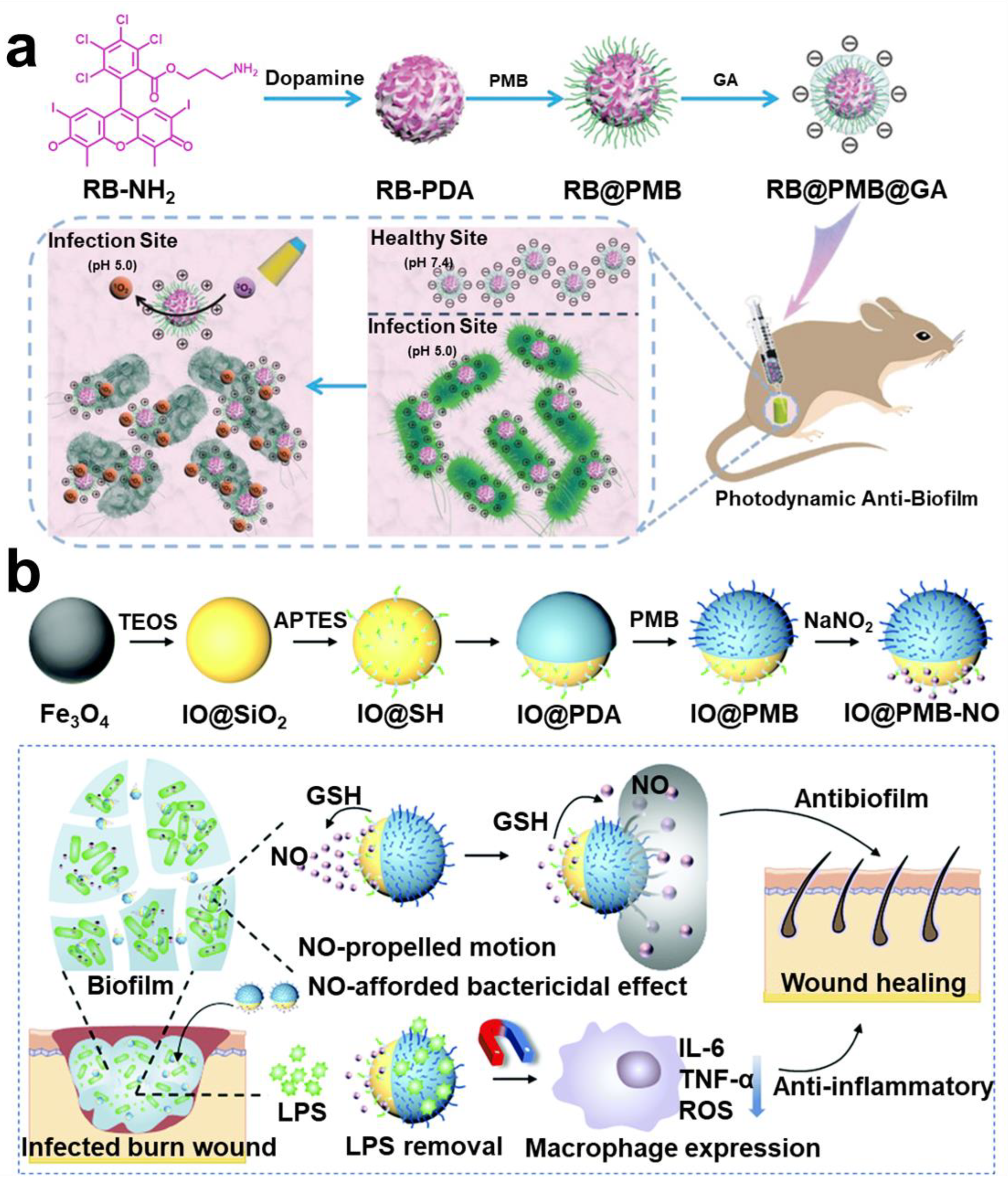 Pharmaceuticals 15 01253 g011 Pharmaceuticals 15 01253 g011