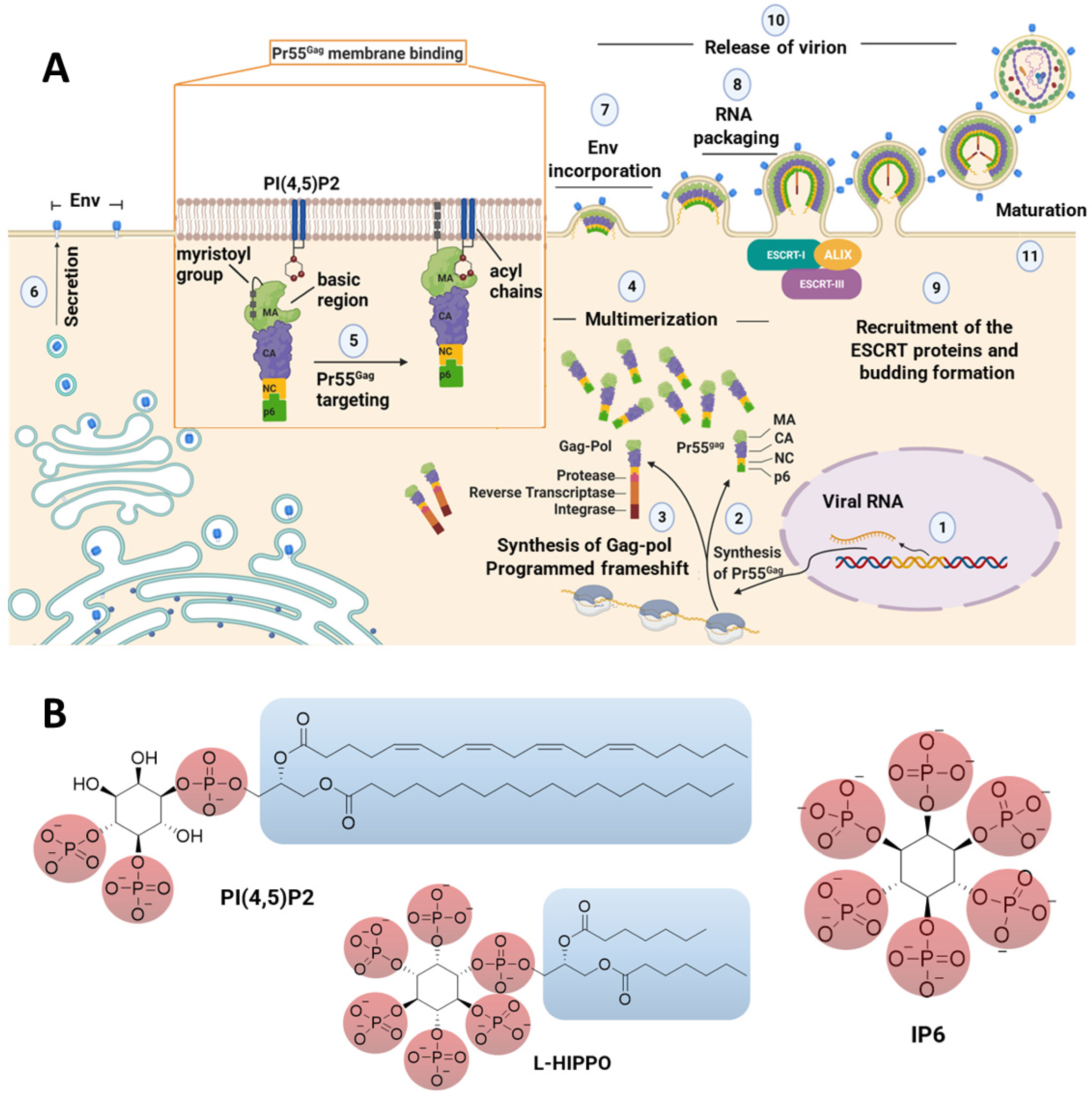 Pharmaceuticals 15 01255 g001 Pharmaceuticals 15 01255 g001