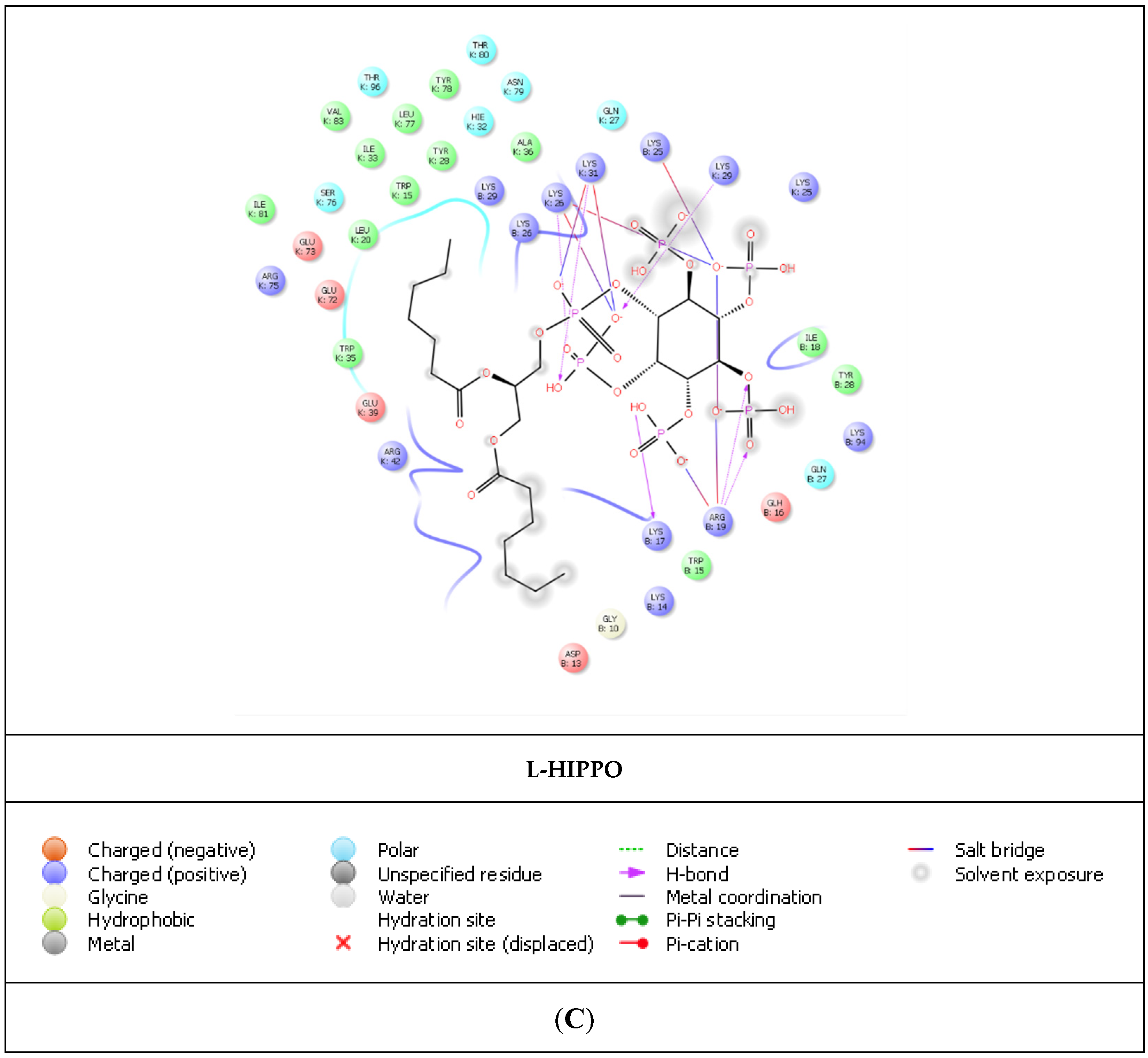 Pharmaceuticals 15 01255 g005c Pharmaceuticals 15 01255 g005c
