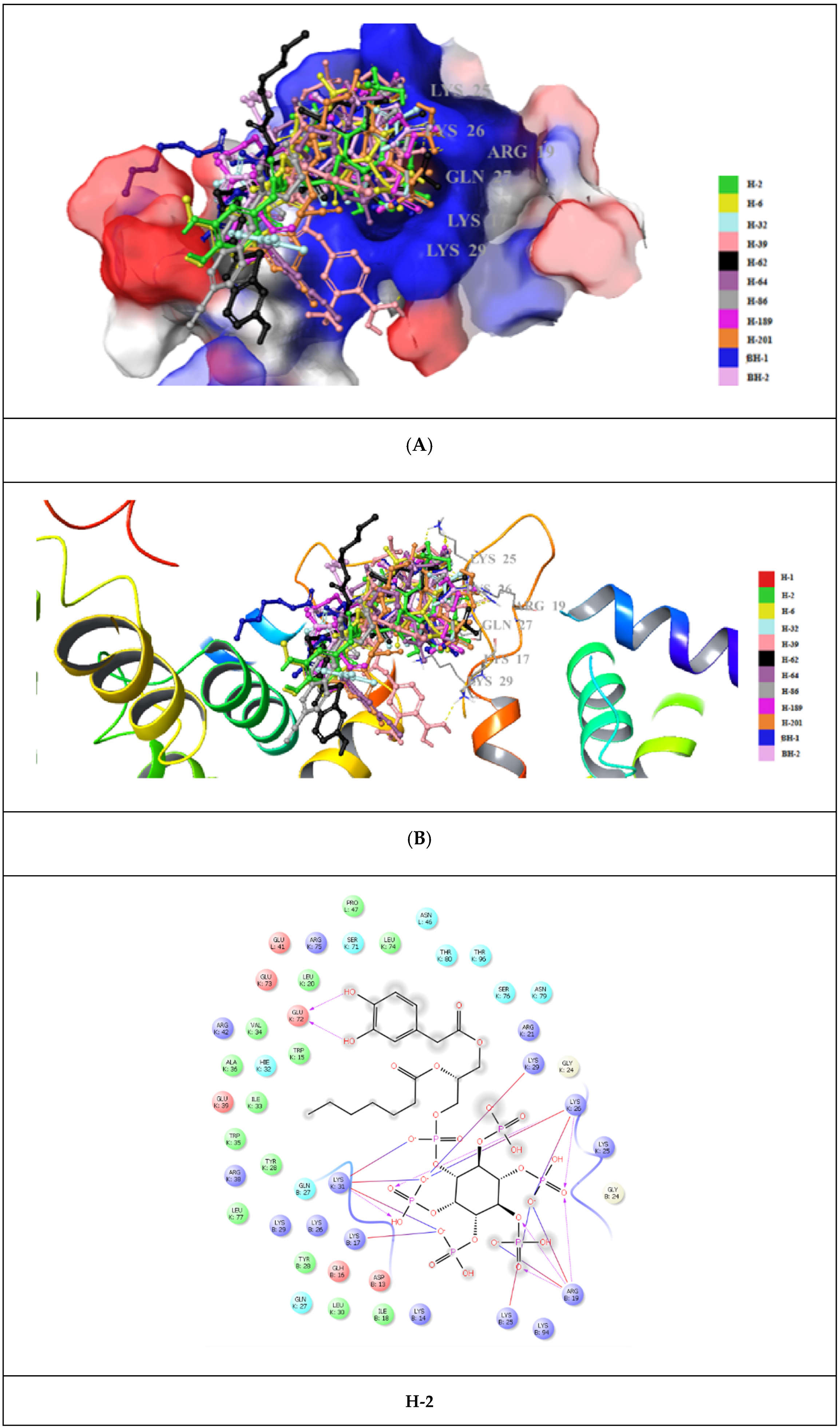Pharmaceuticals 15 01255 g008a Pharmaceuticals 15 01255 g008a