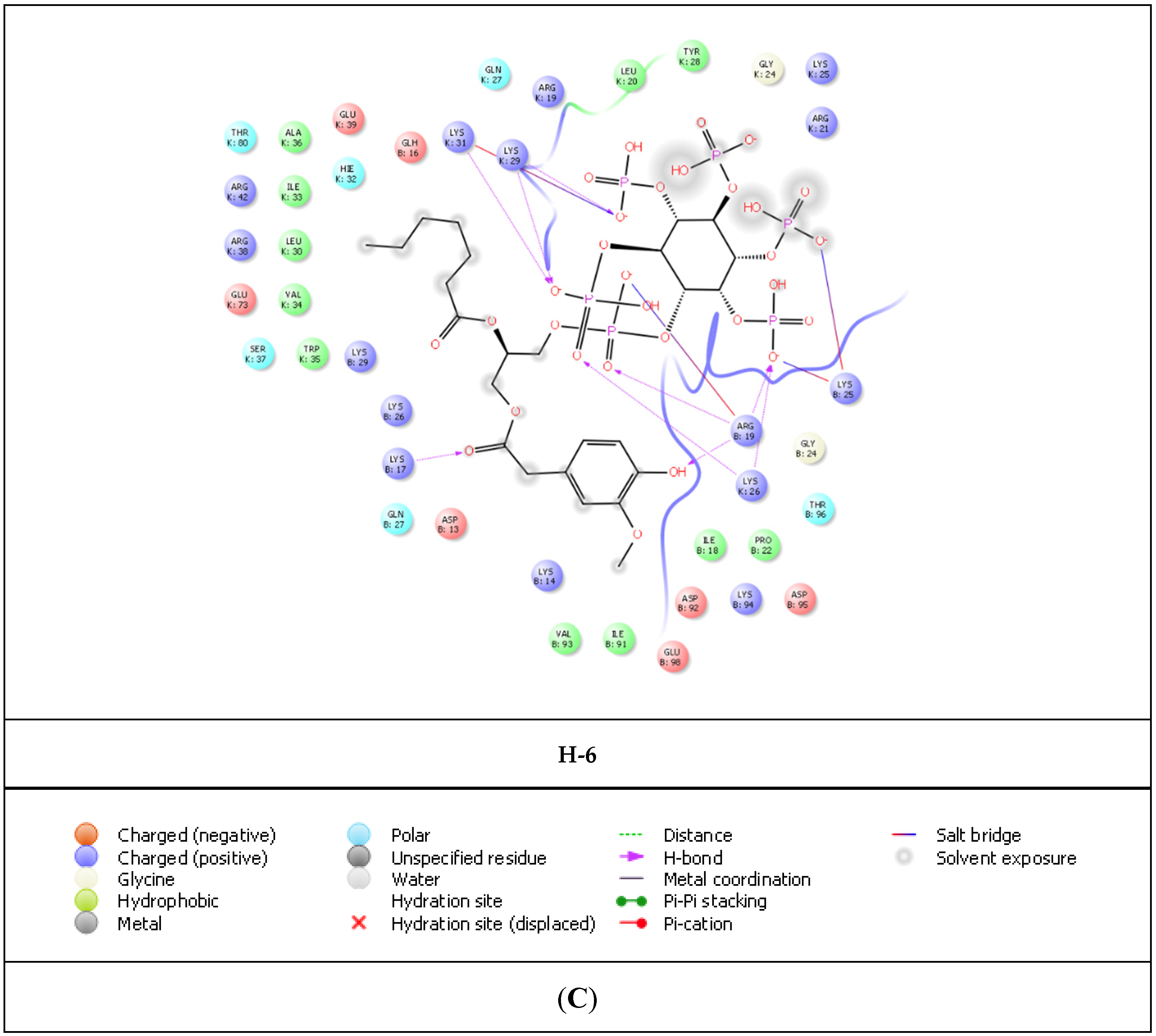 Pharmaceuticals 15 01255 g008b Pharmaceuticals 15 01255 g008b