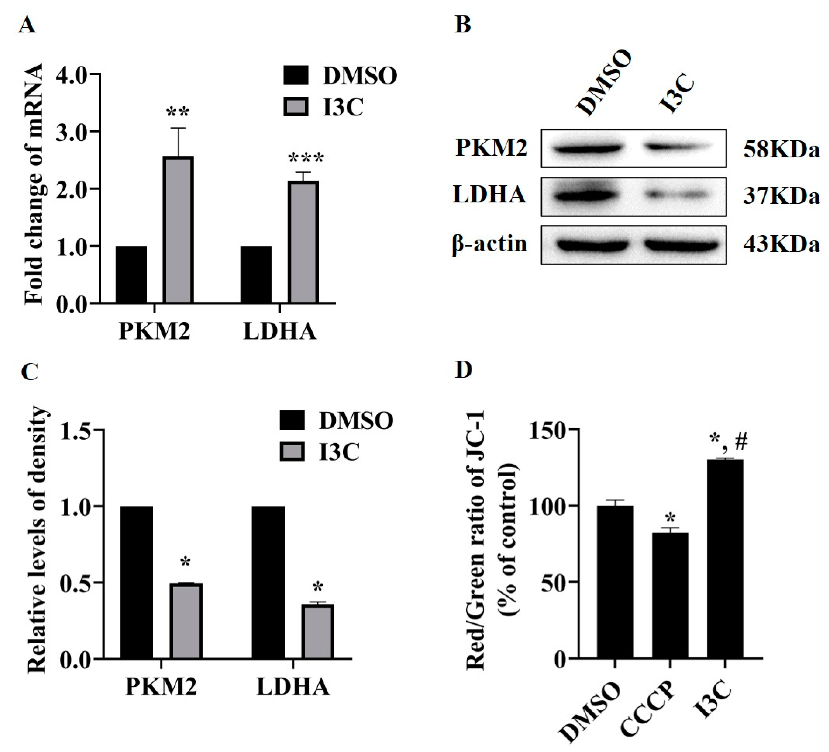 Pharmaceuticals 15 01257 g002
