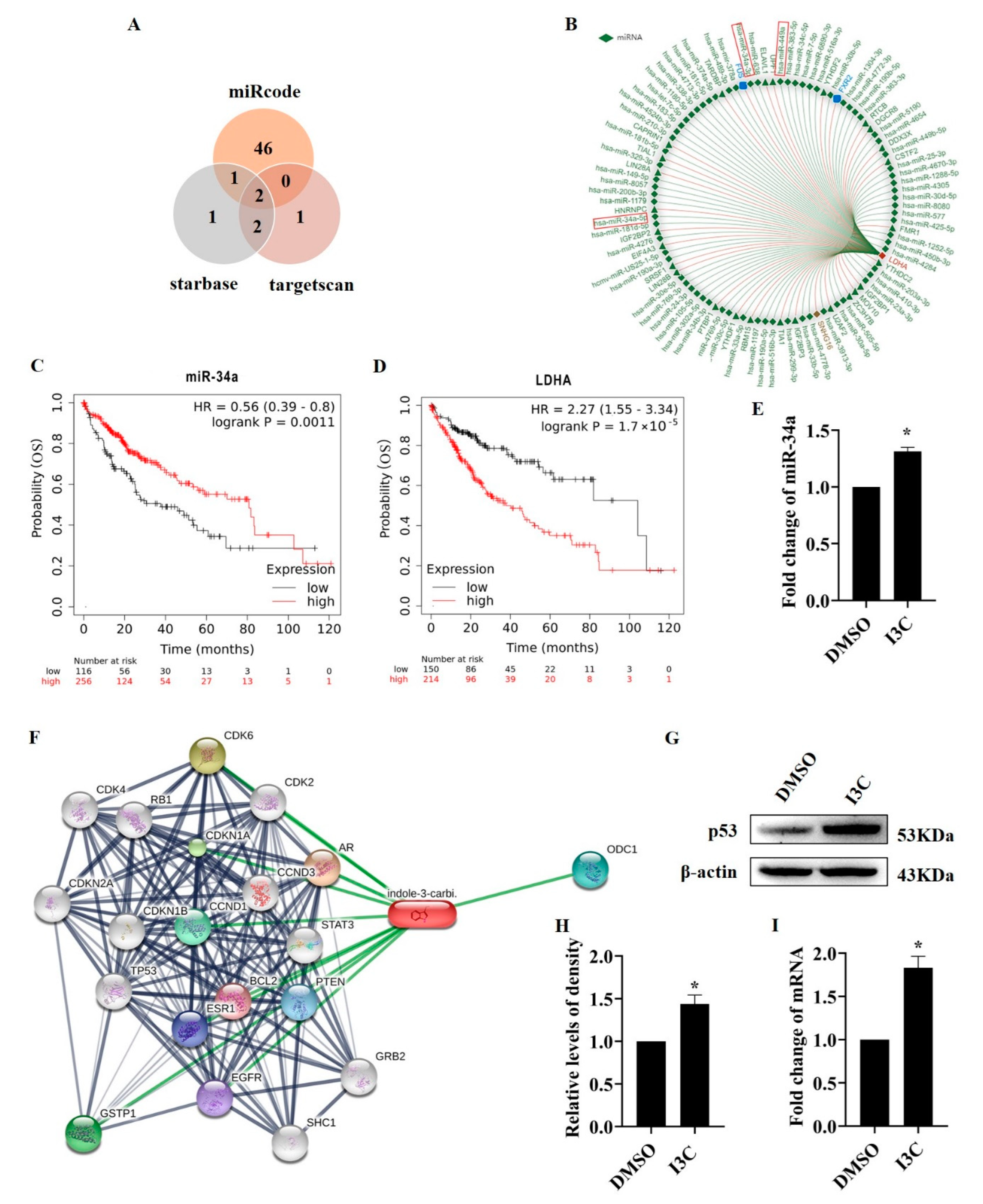 Pharmaceuticals 15 01257 g003