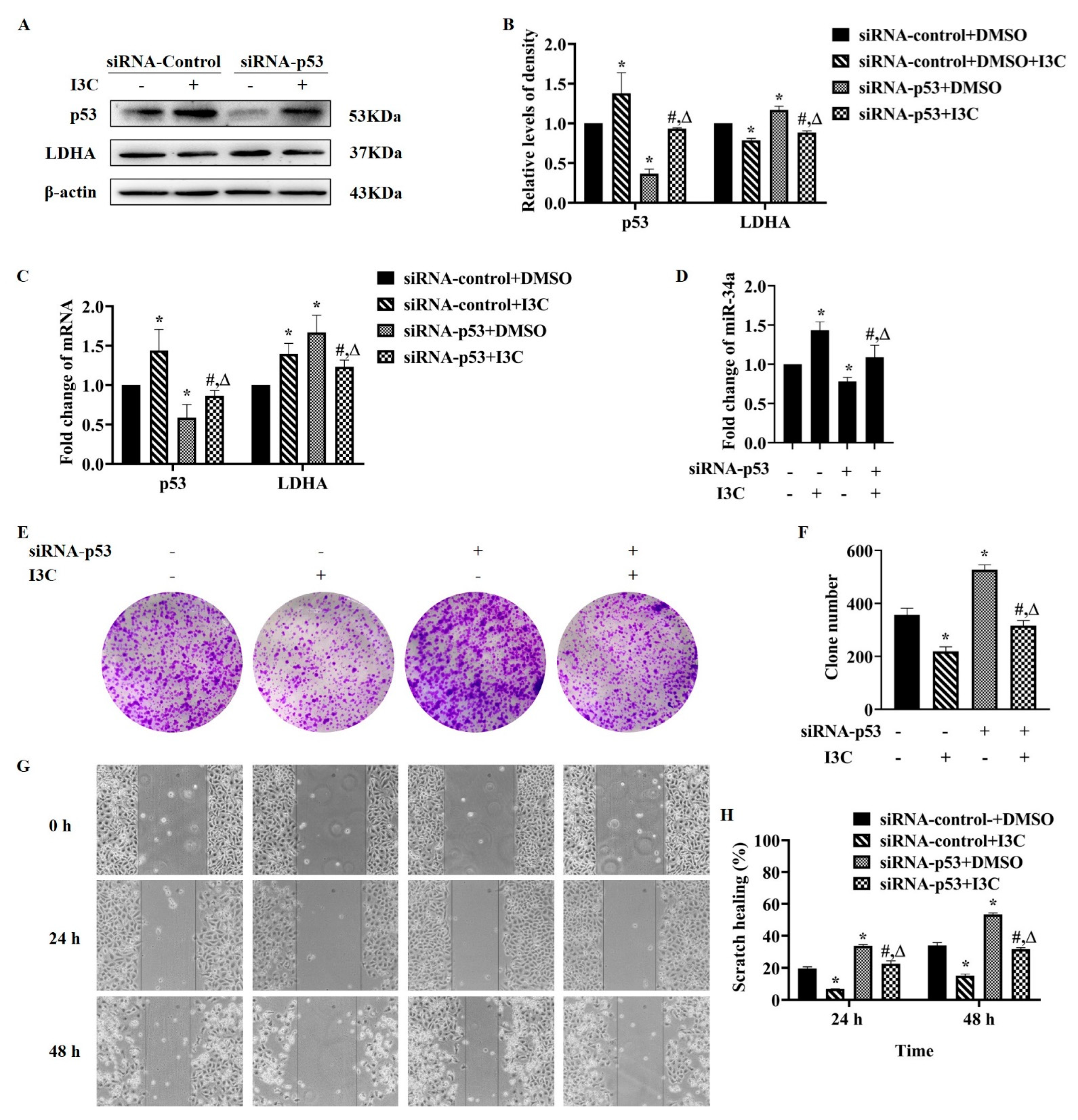 Pharmaceuticals 15 01257 g004
