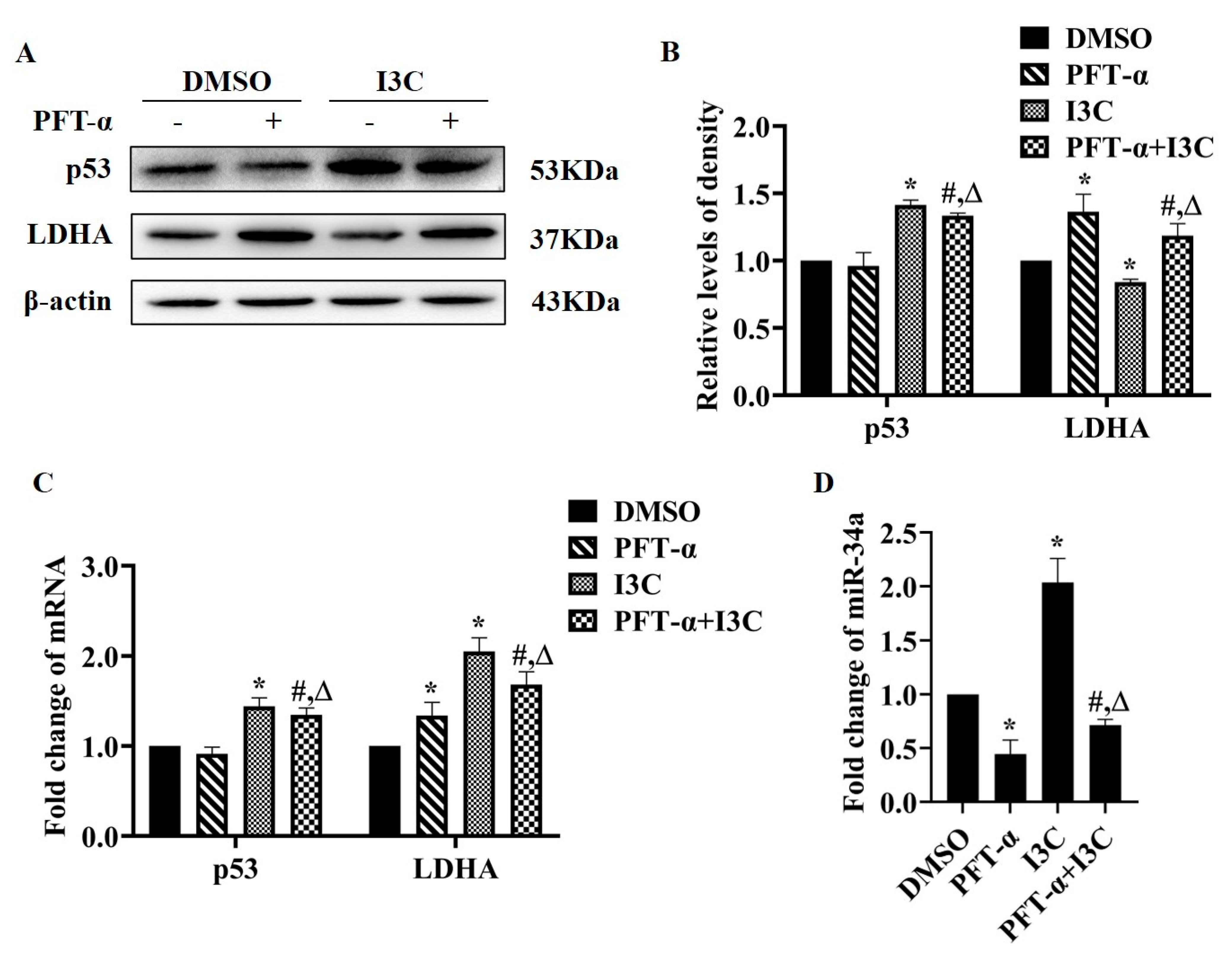 Pharmaceuticals 15 01257 g005