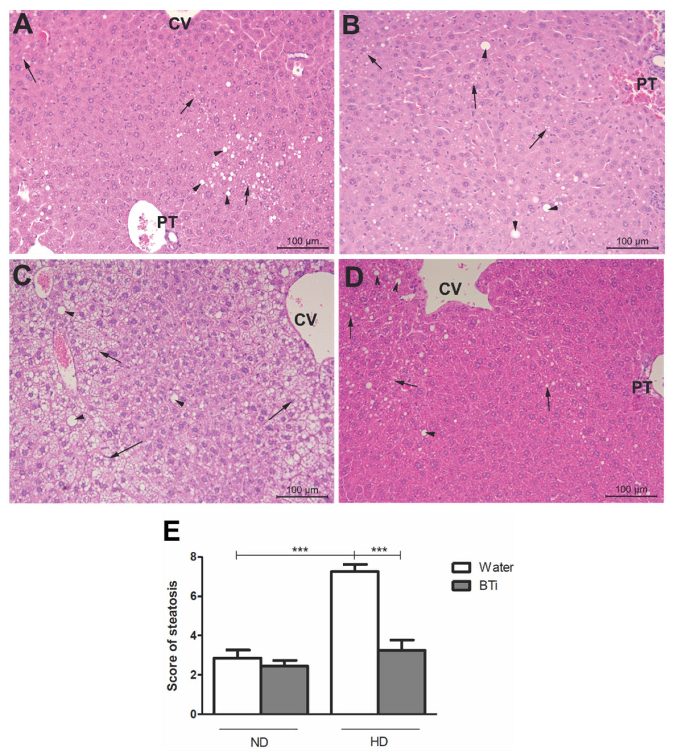 Pharmaceuticals 15 01258 g002 Pharmaceuticals 15 01258 g002