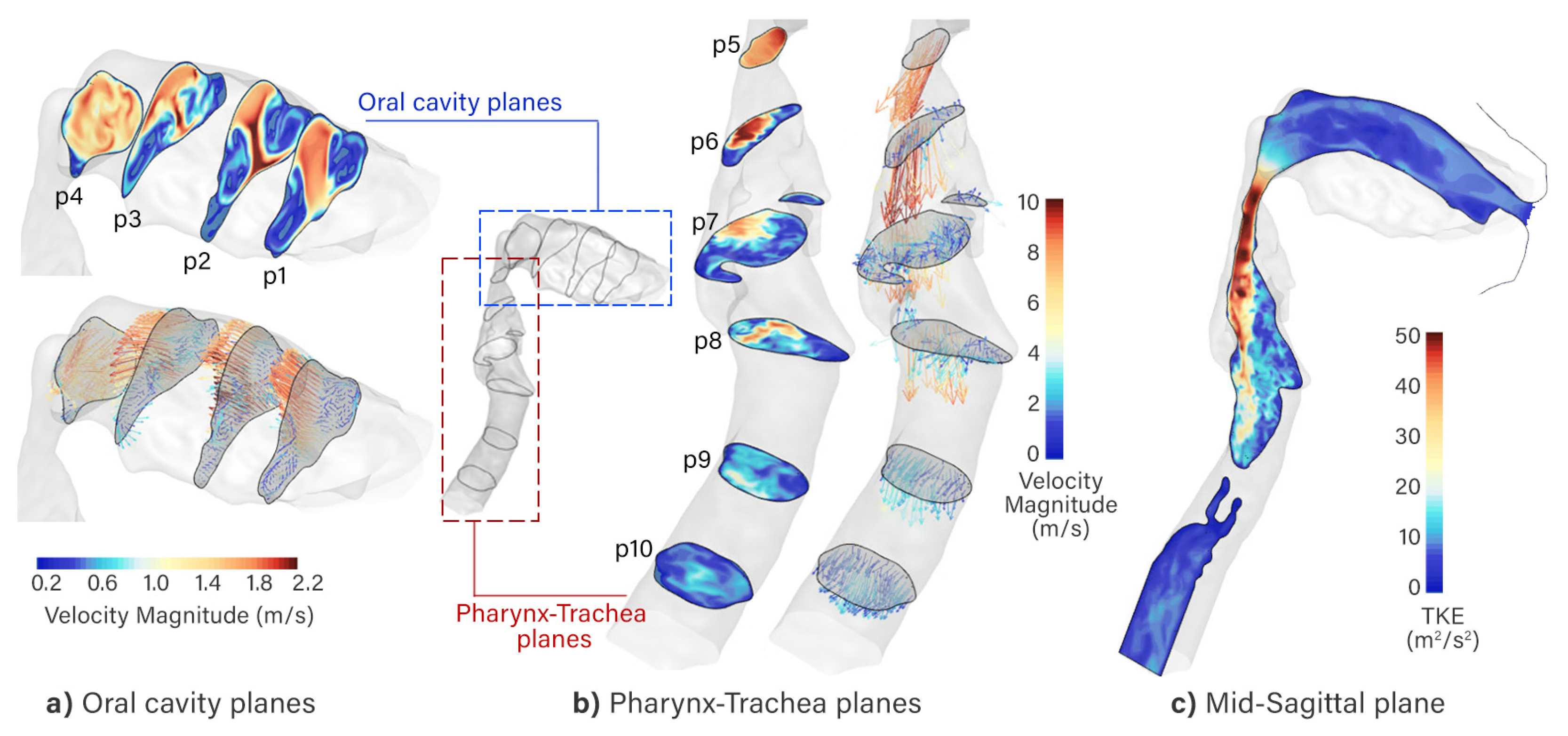 Pharmaceuticals 15 01259 g001