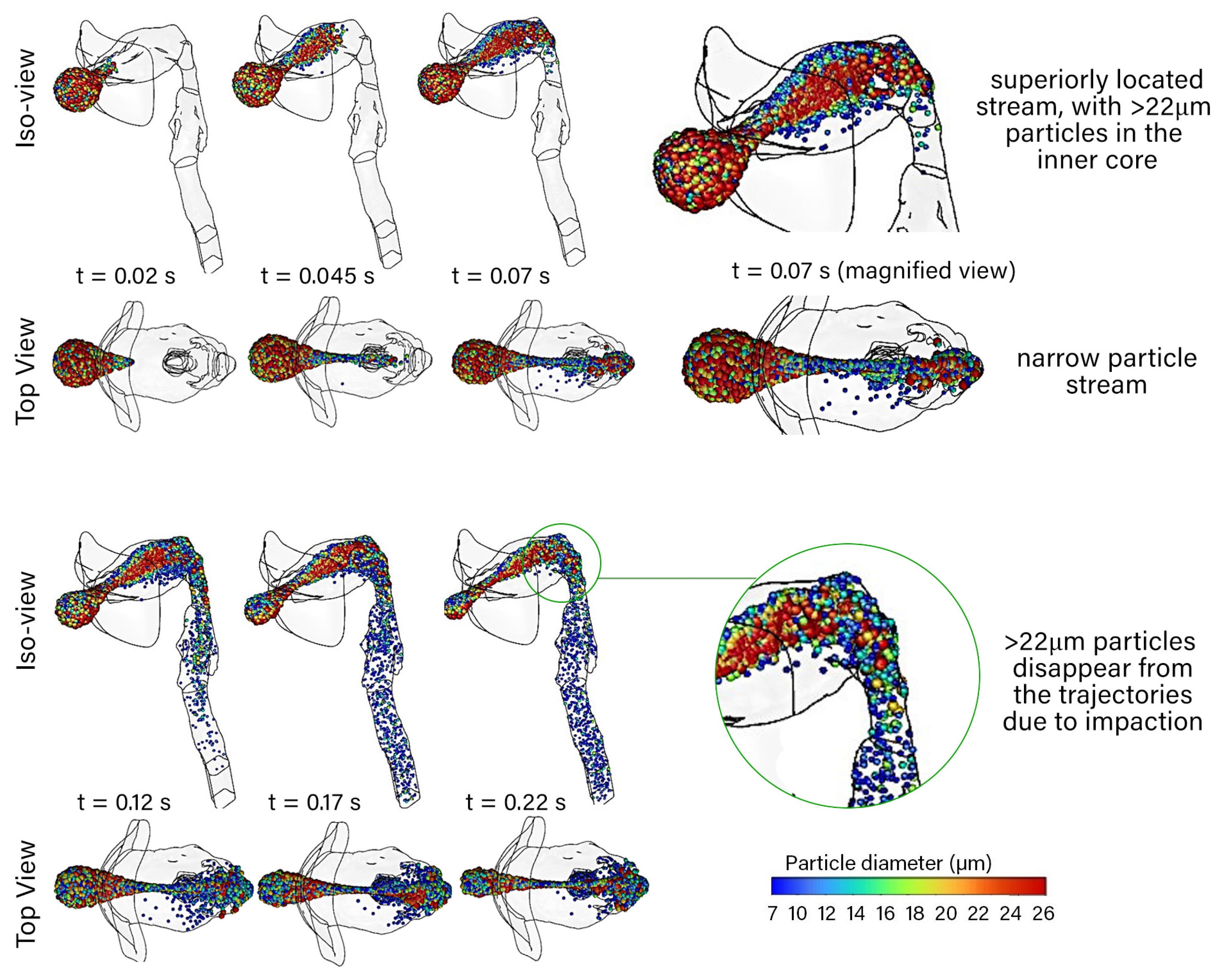 Pharmaceuticals 15 01259 g003
