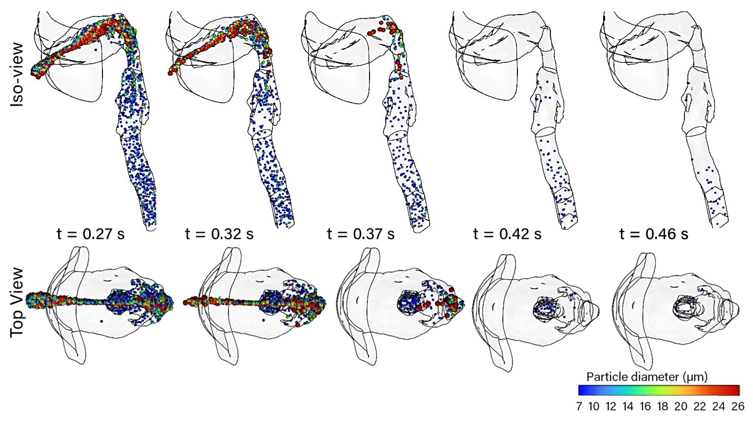 Pharmaceuticals 15 01259 g004