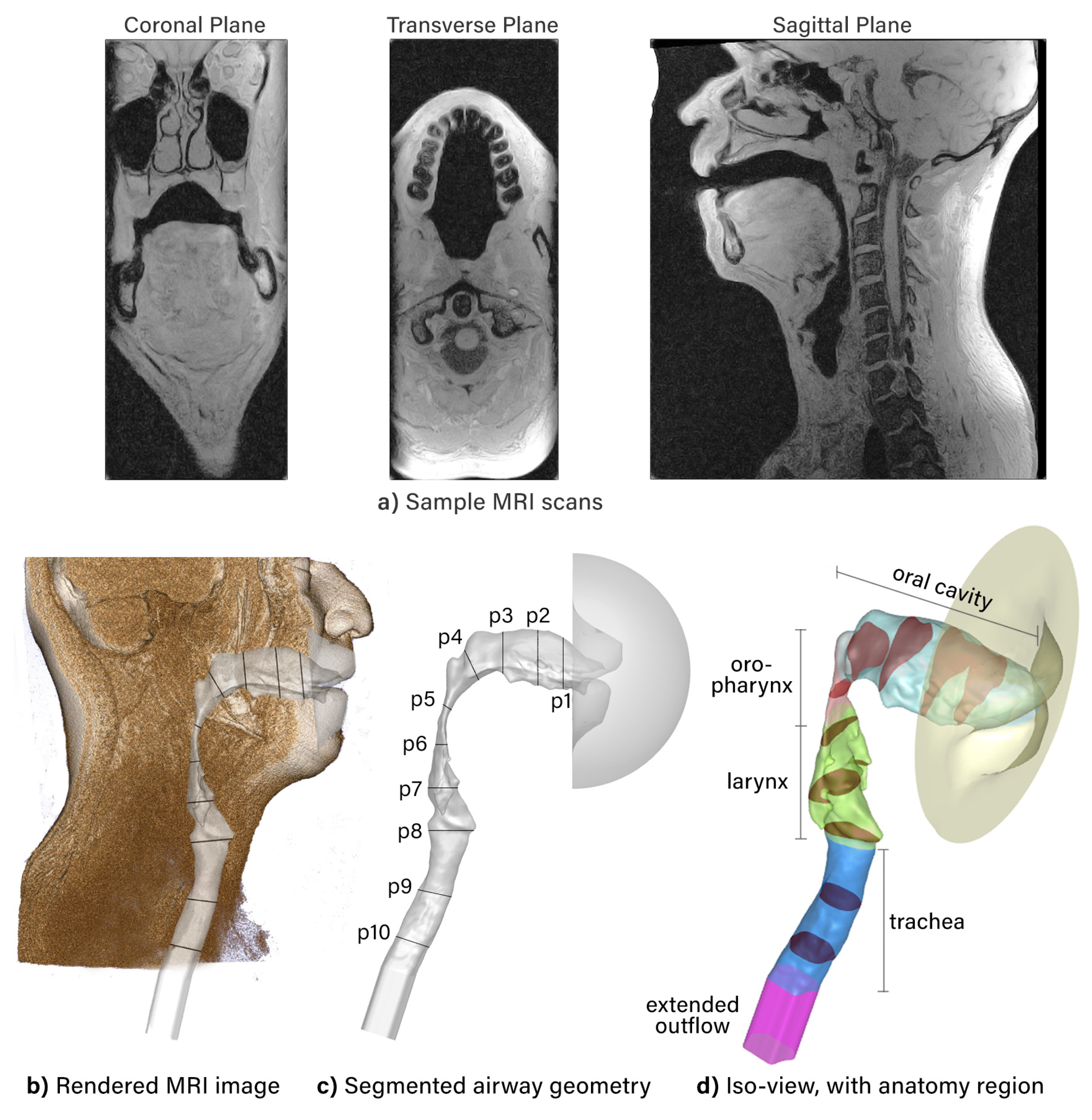 Pharmaceuticals 15 01259 g007