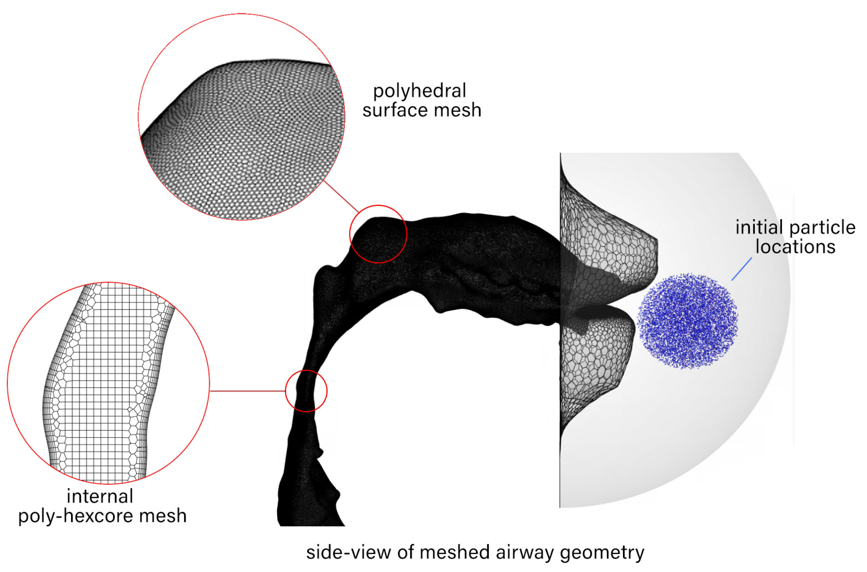 Pharmaceuticals 15 01259 g008