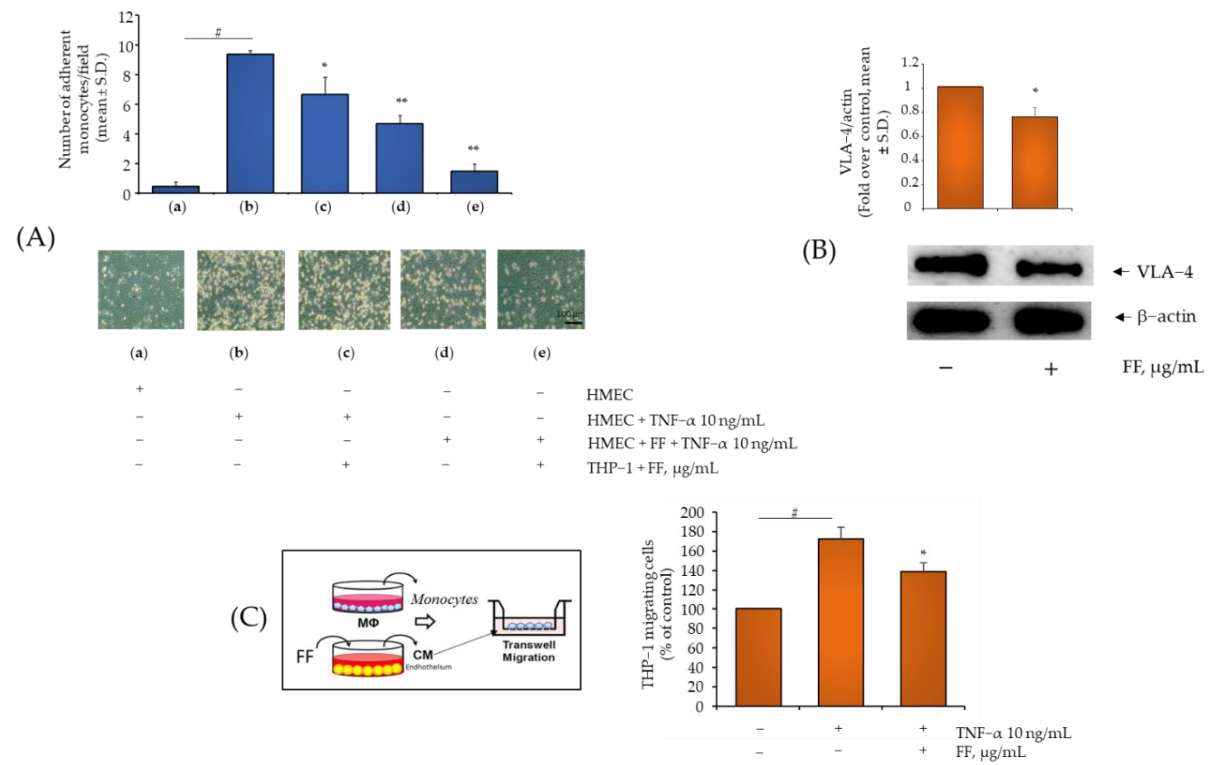 Pharmaceuticals 15 01263 g005 Pharmaceuticals 15 01263 g005