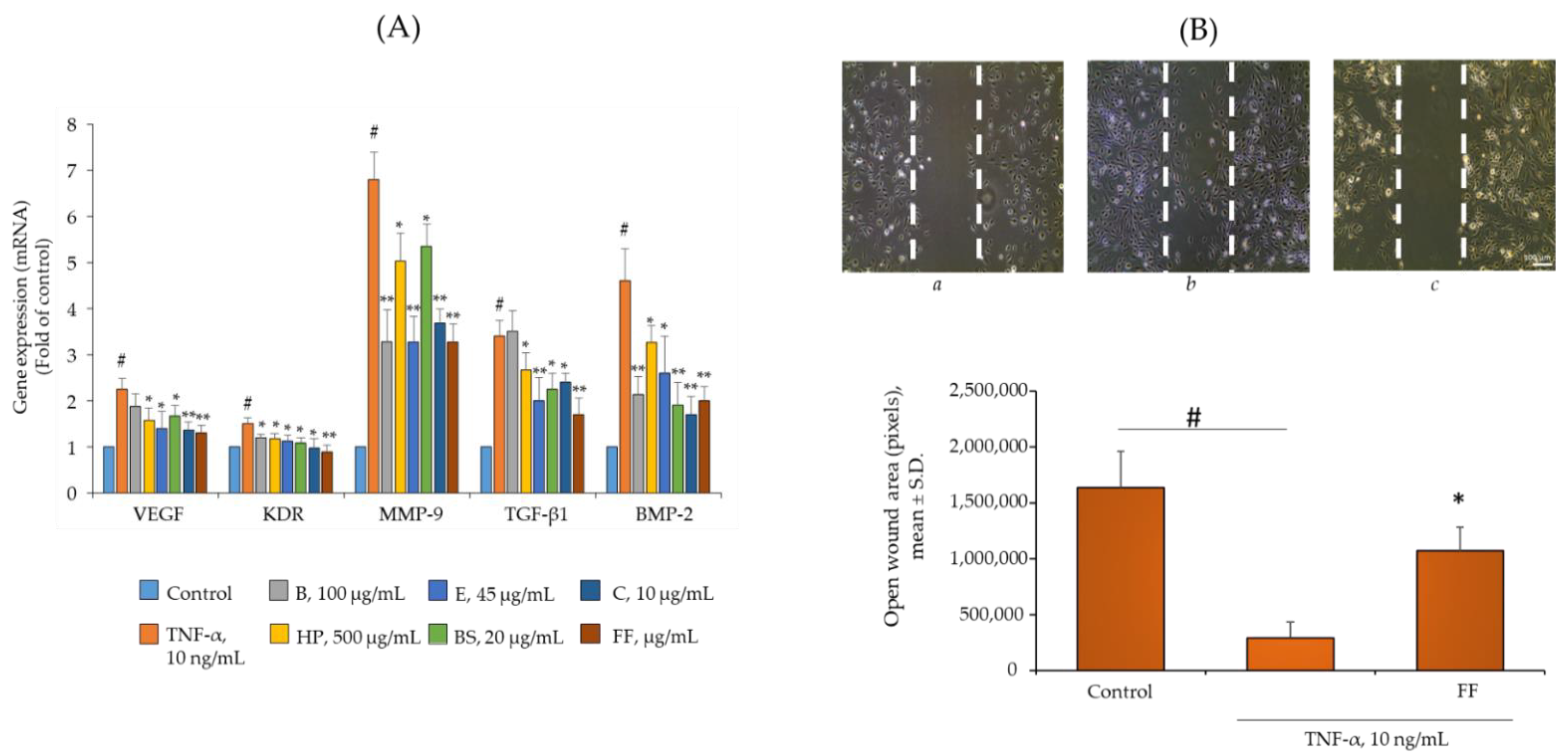 Pharmaceuticals 15 01263 g006 Pharmaceuticals 15 01263 g006