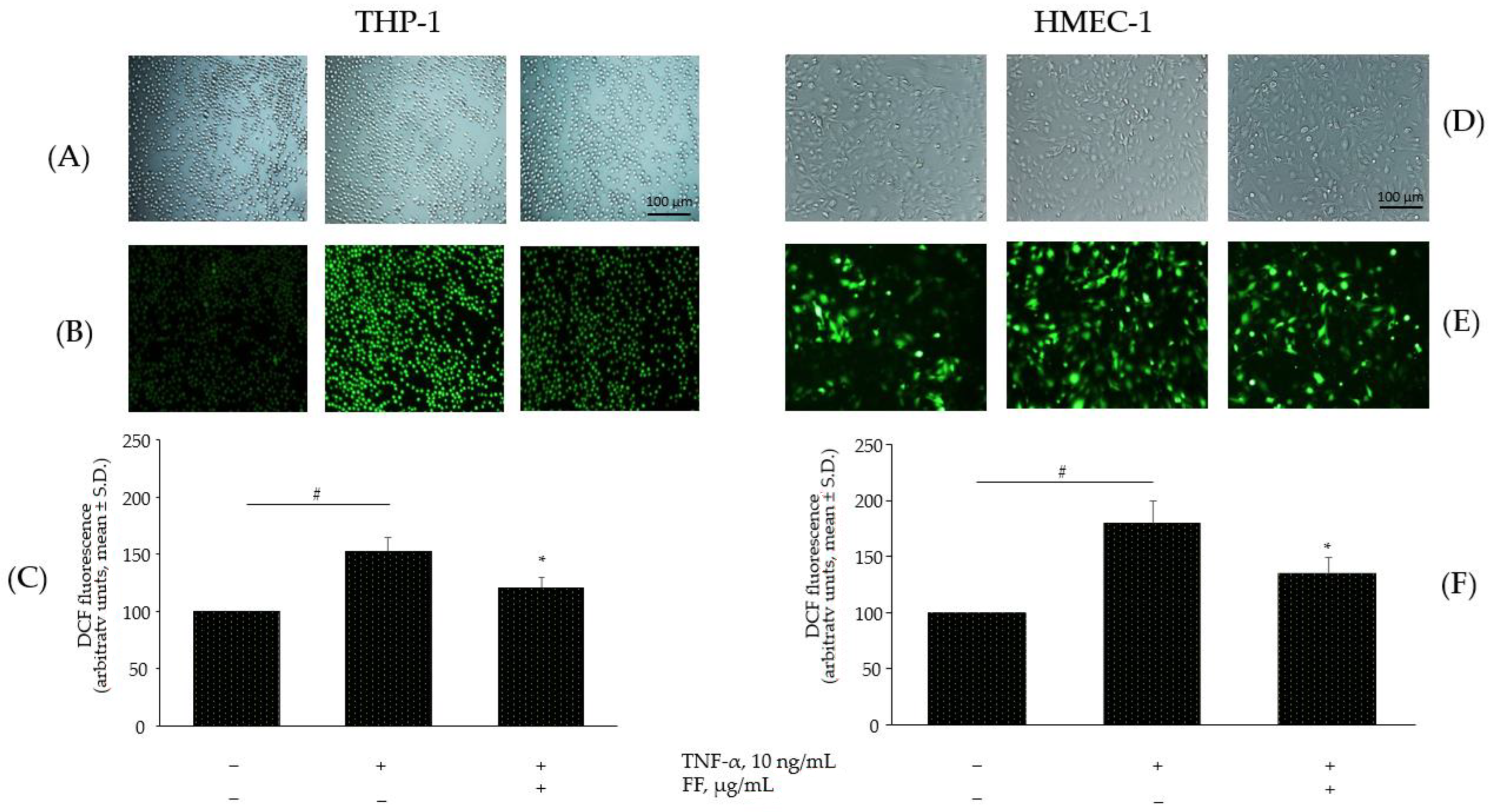 Pharmaceuticals 15 01263 g007 Pharmaceuticals 15 01263 g007