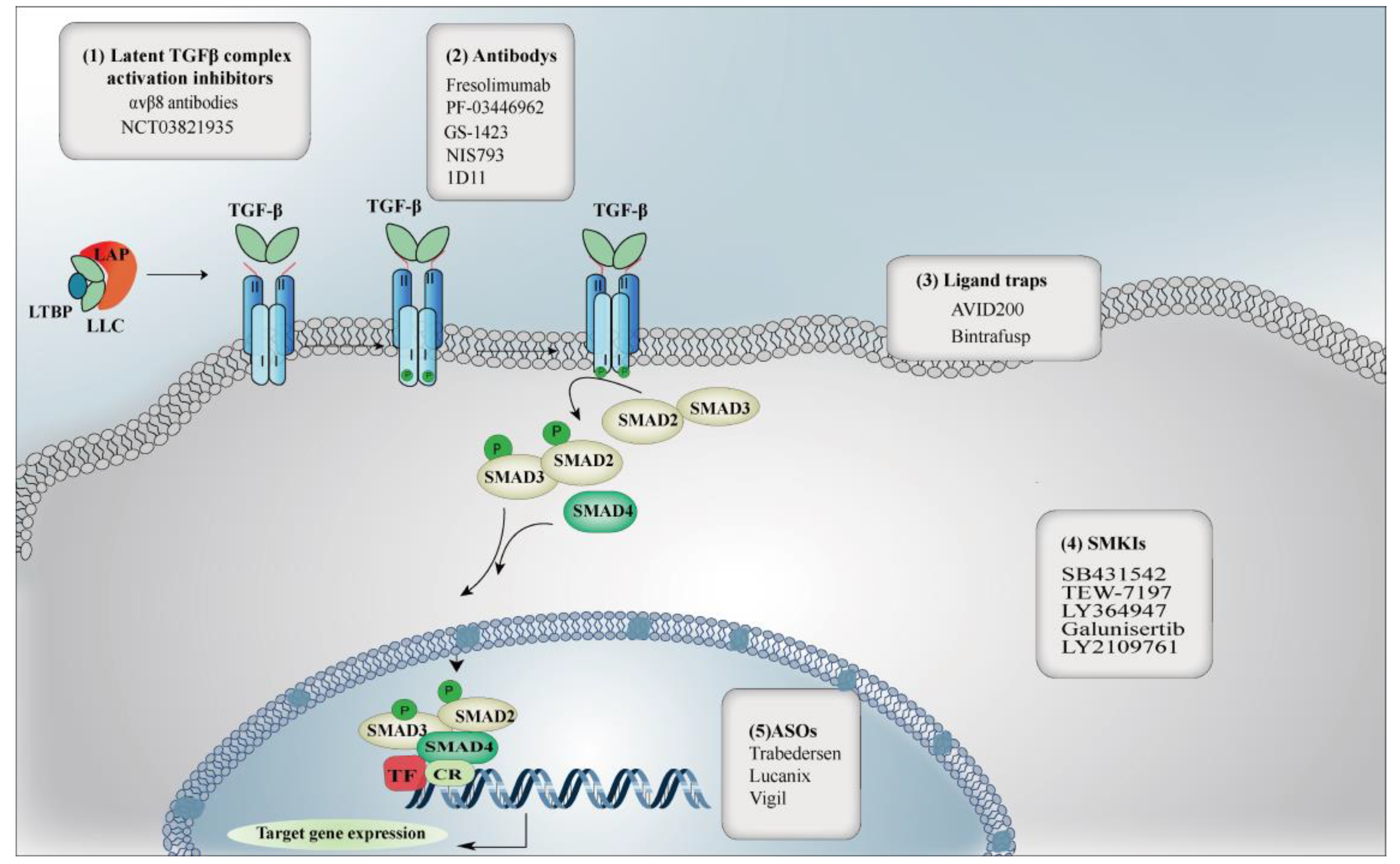 Pharmaceuticals 15 01264 g001