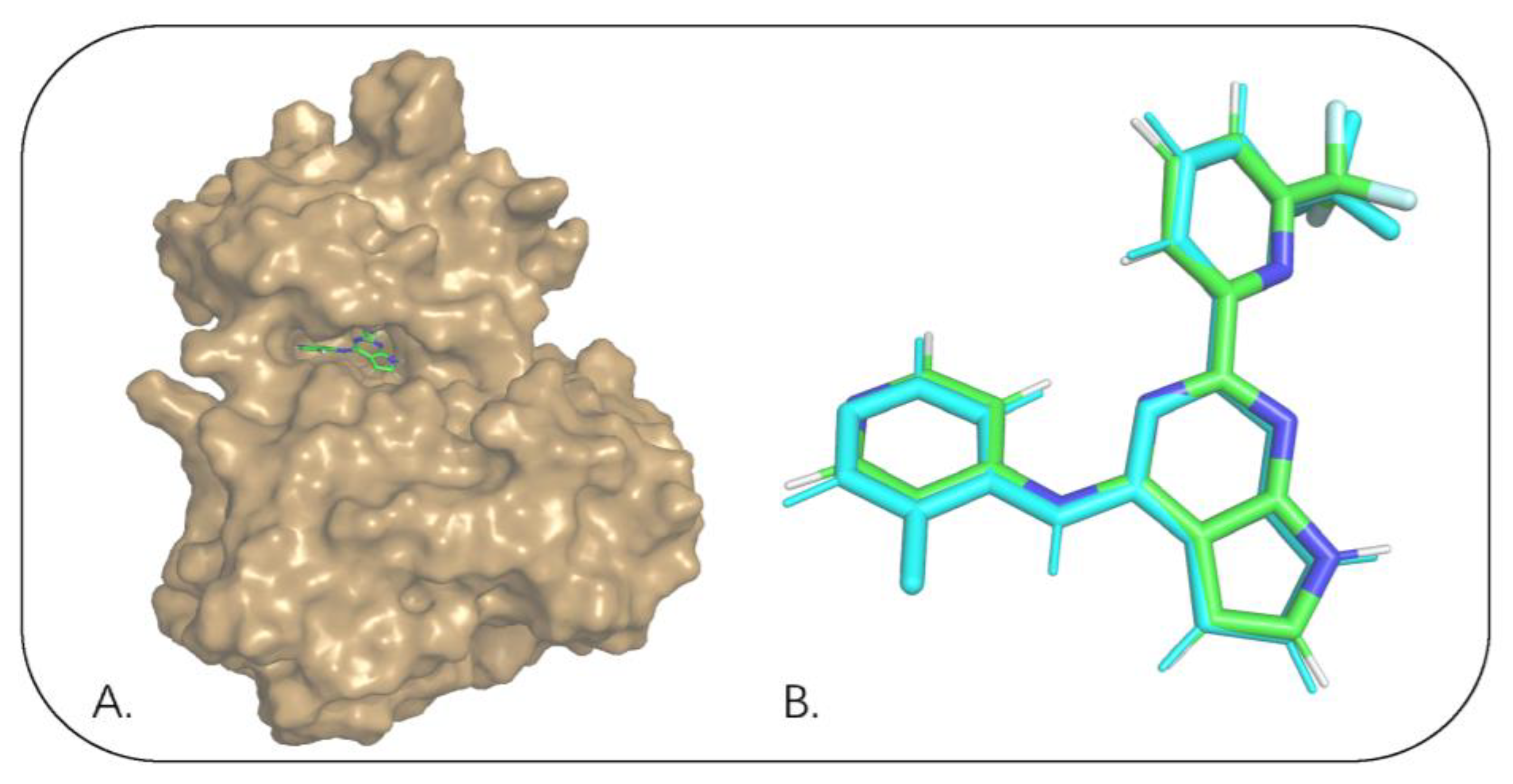 Pharmaceuticals 15 01264 g004