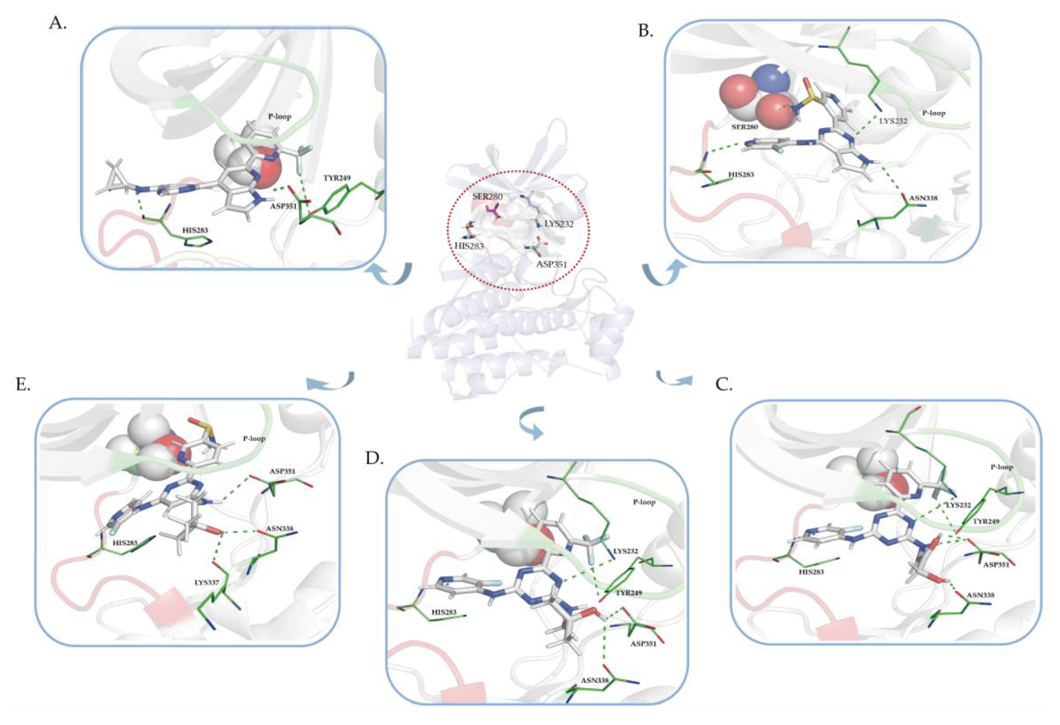 Pharmaceuticals 15 01264 g005