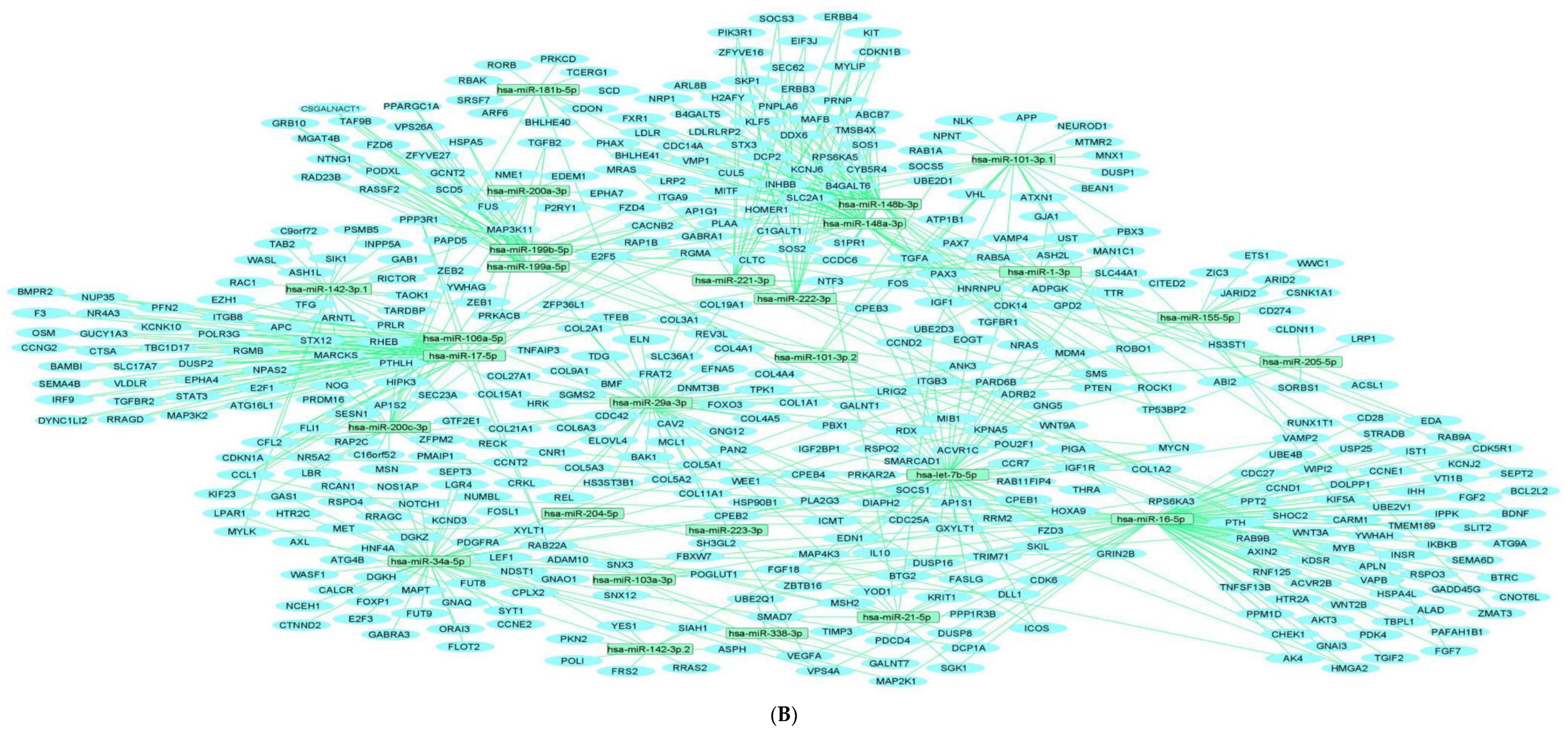 Pharmaceuticals 15 01269 g001b Pharmaceuticals 15 01269 g001b