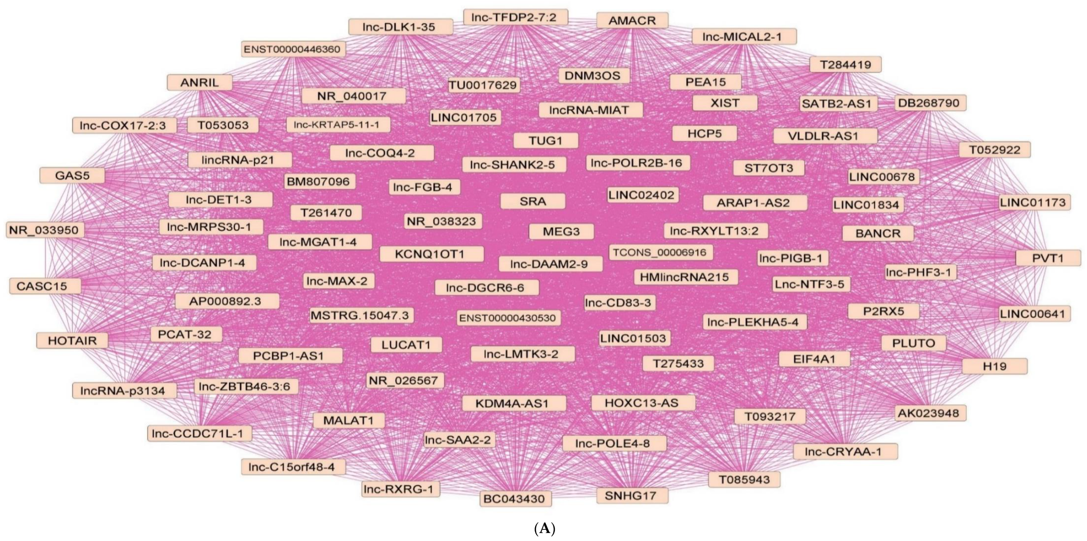 Pharmaceuticals 15 01269 g003a Pharmaceuticals 15 01269 g003a