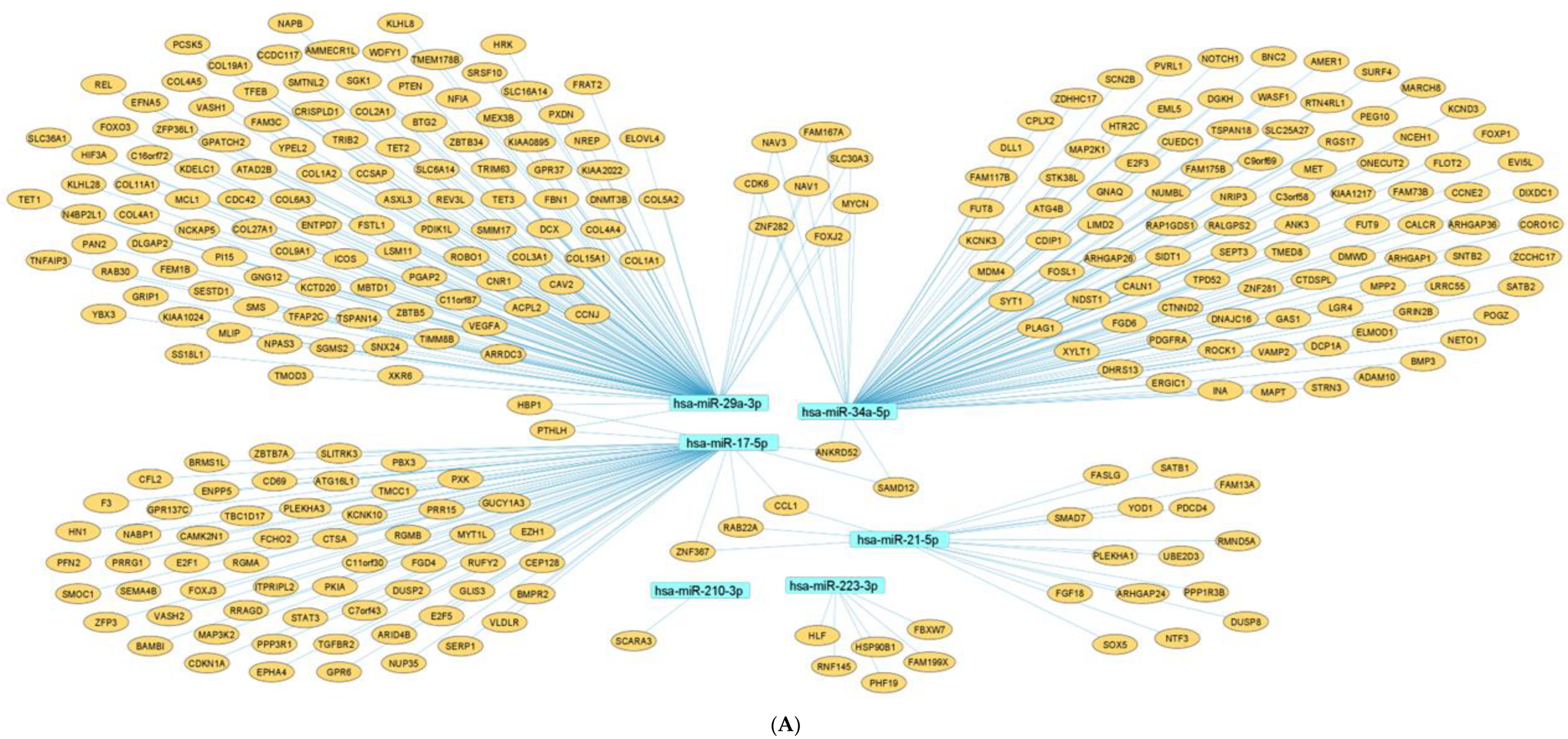 Pharmaceuticals 15 01269 g007a Pharmaceuticals 15 01269 g007a