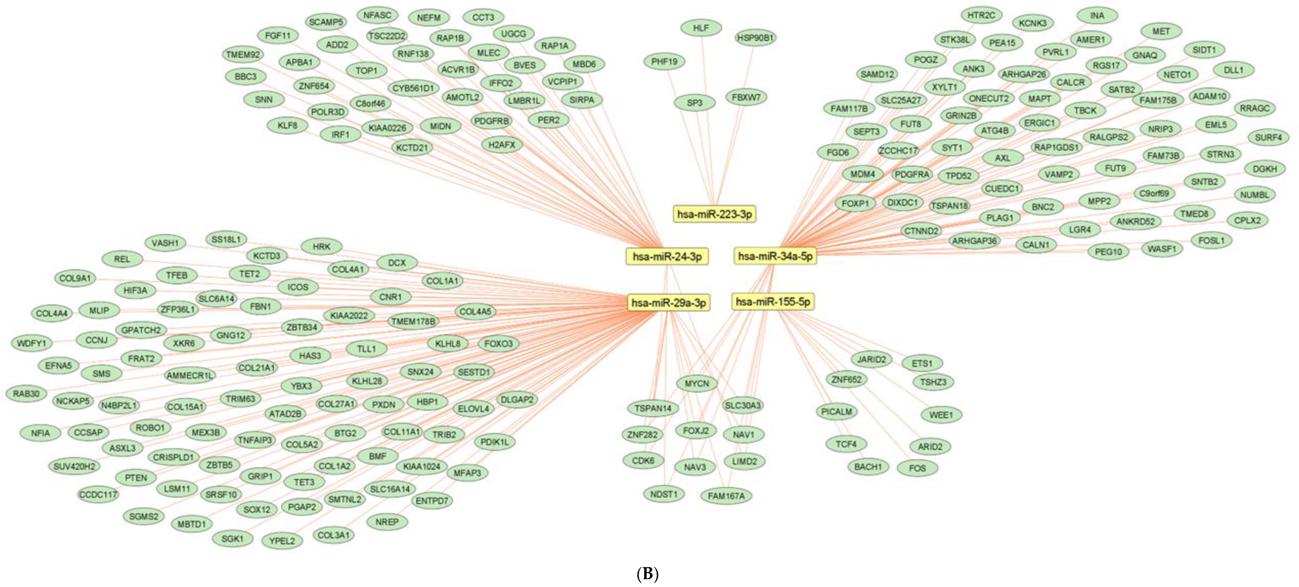 Pharmaceuticals 15 01269 g007b Pharmaceuticals 15 01269 g007b