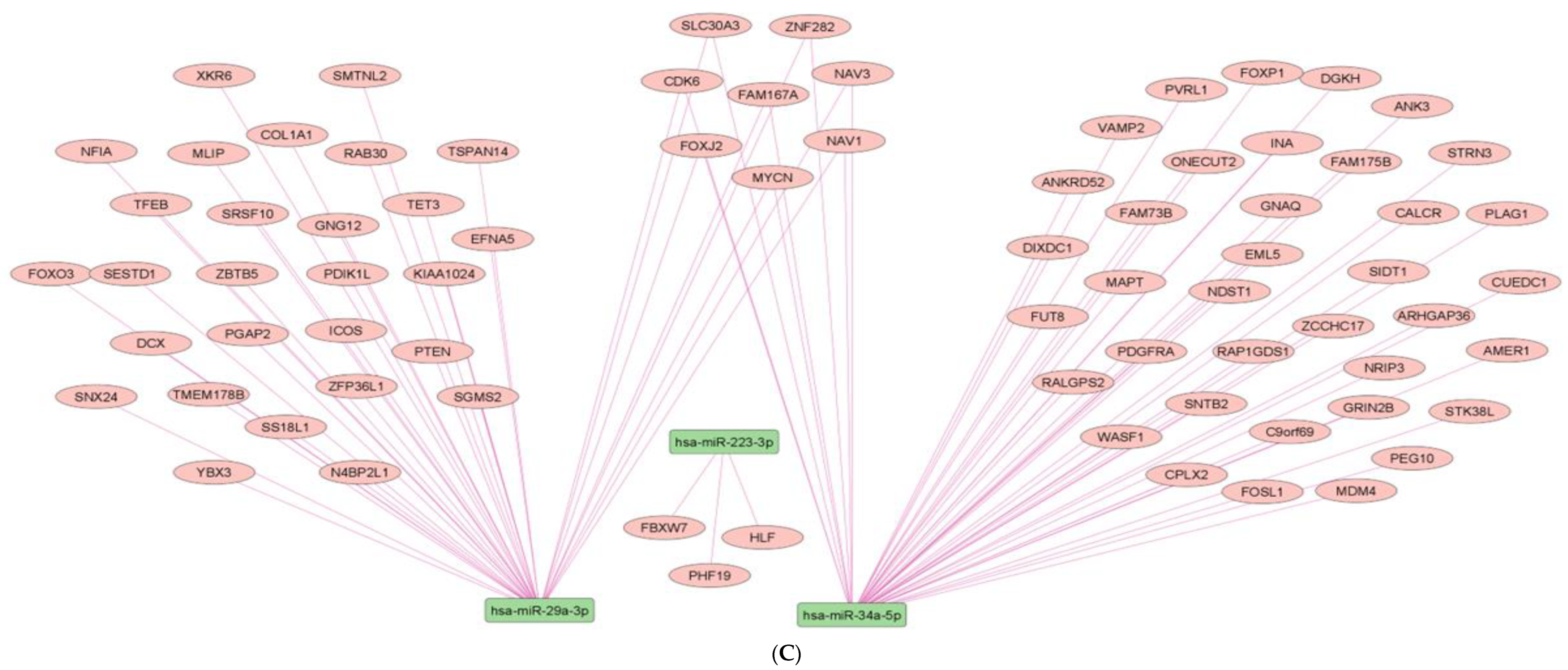 Pharmaceuticals 15 01269 g007c Pharmaceuticals 15 01269 g007c