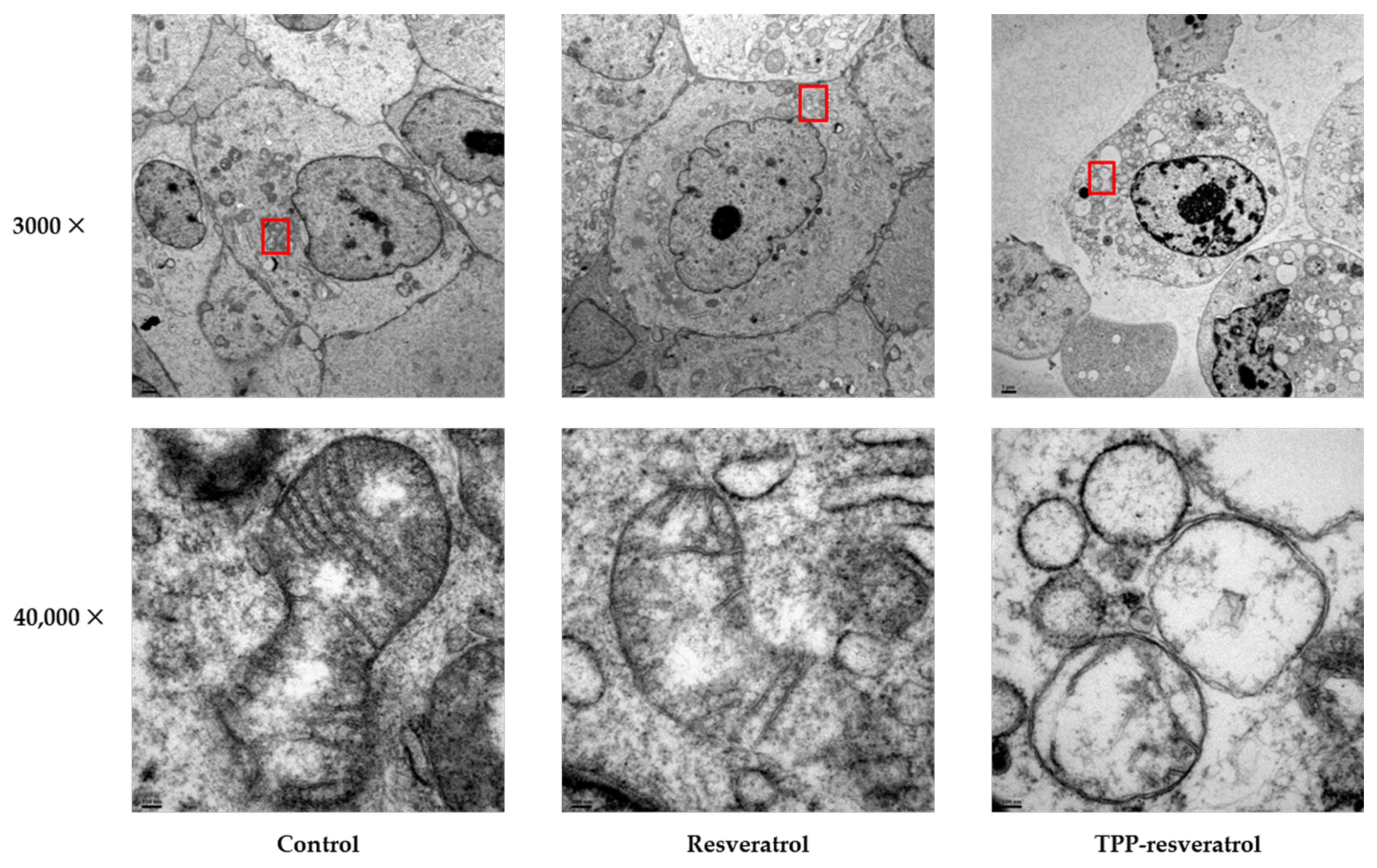 Pharmaceuticals 15 01271 g004