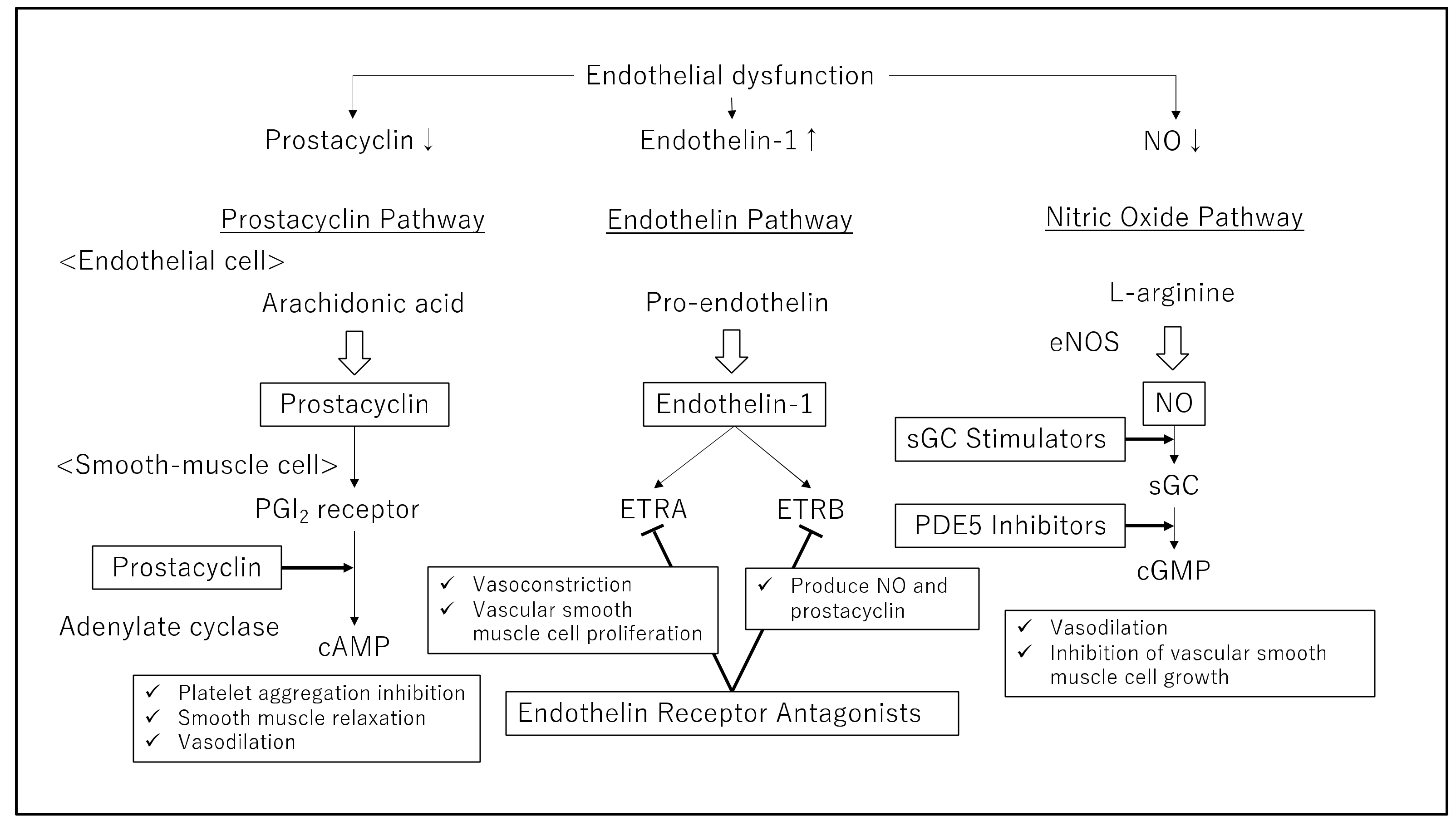 Pharmaceuticals | Free Full-Text | Recent Advances in the 