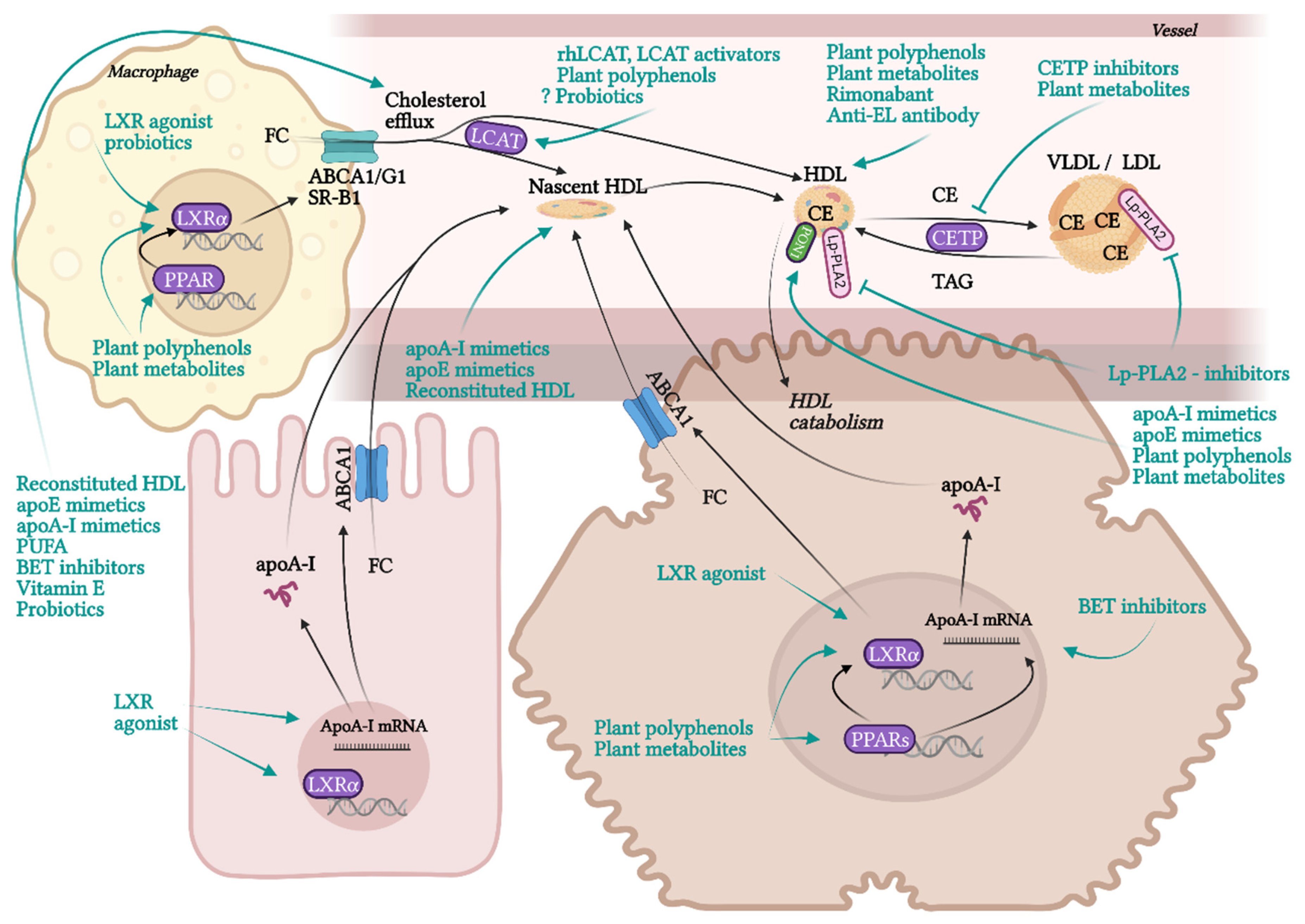 Pharmaceuticals 15 01278 g002 Pharmaceuticals 15 01278 g002