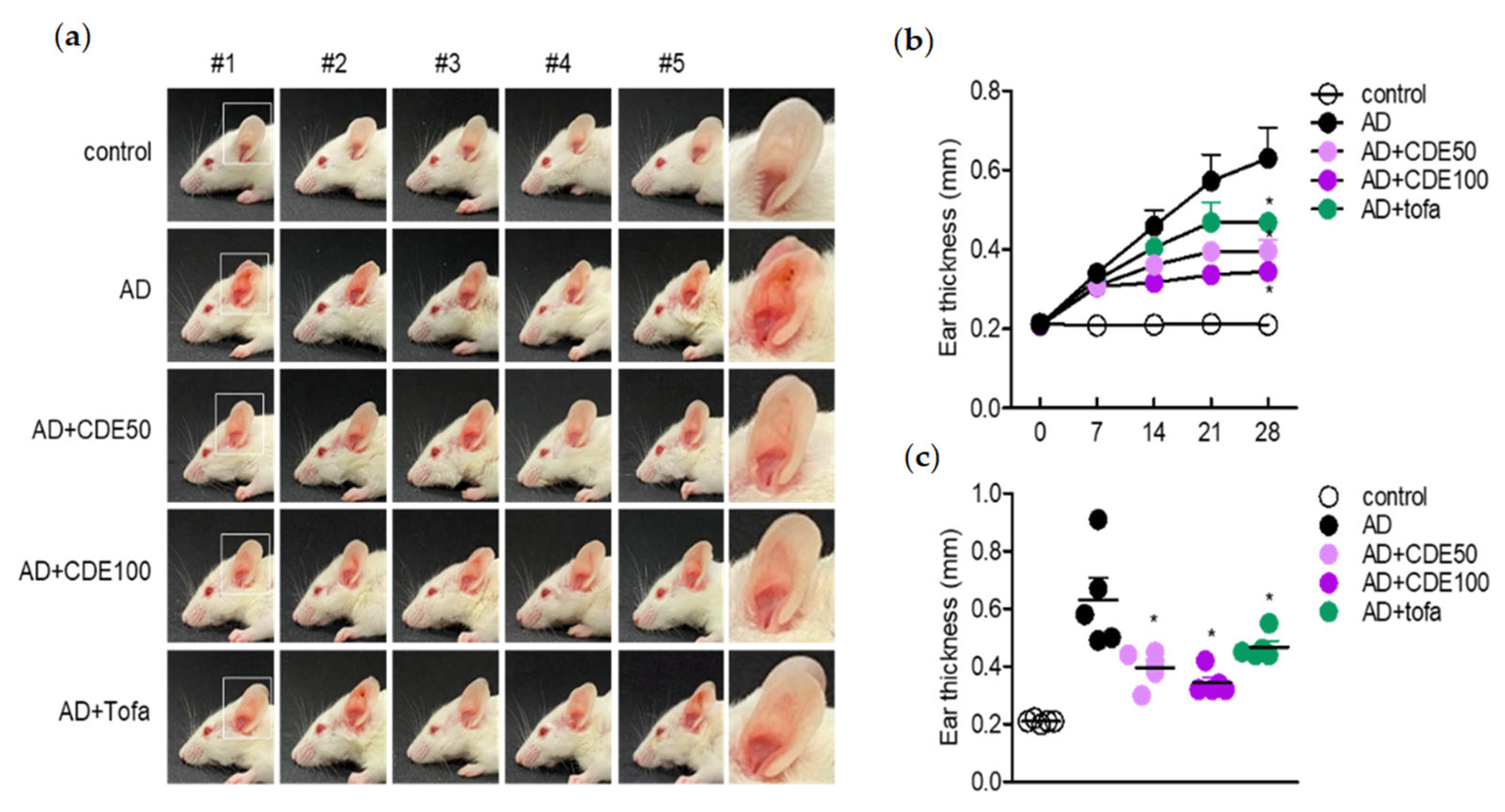 Pharmaceuticals 15 01280 g002 550