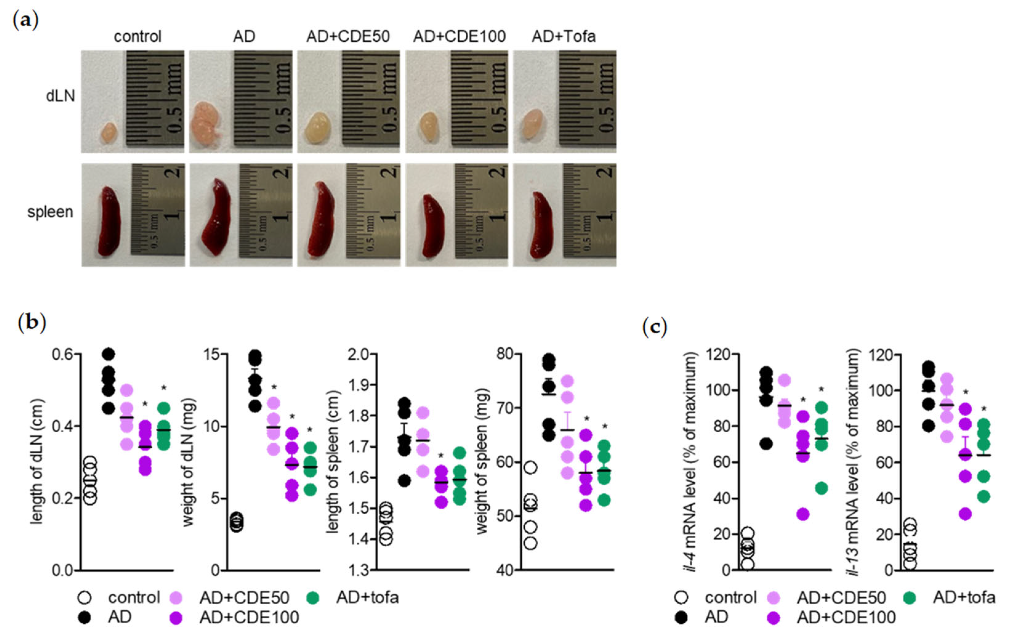 Pharmaceuticals 15 01280 g005 550