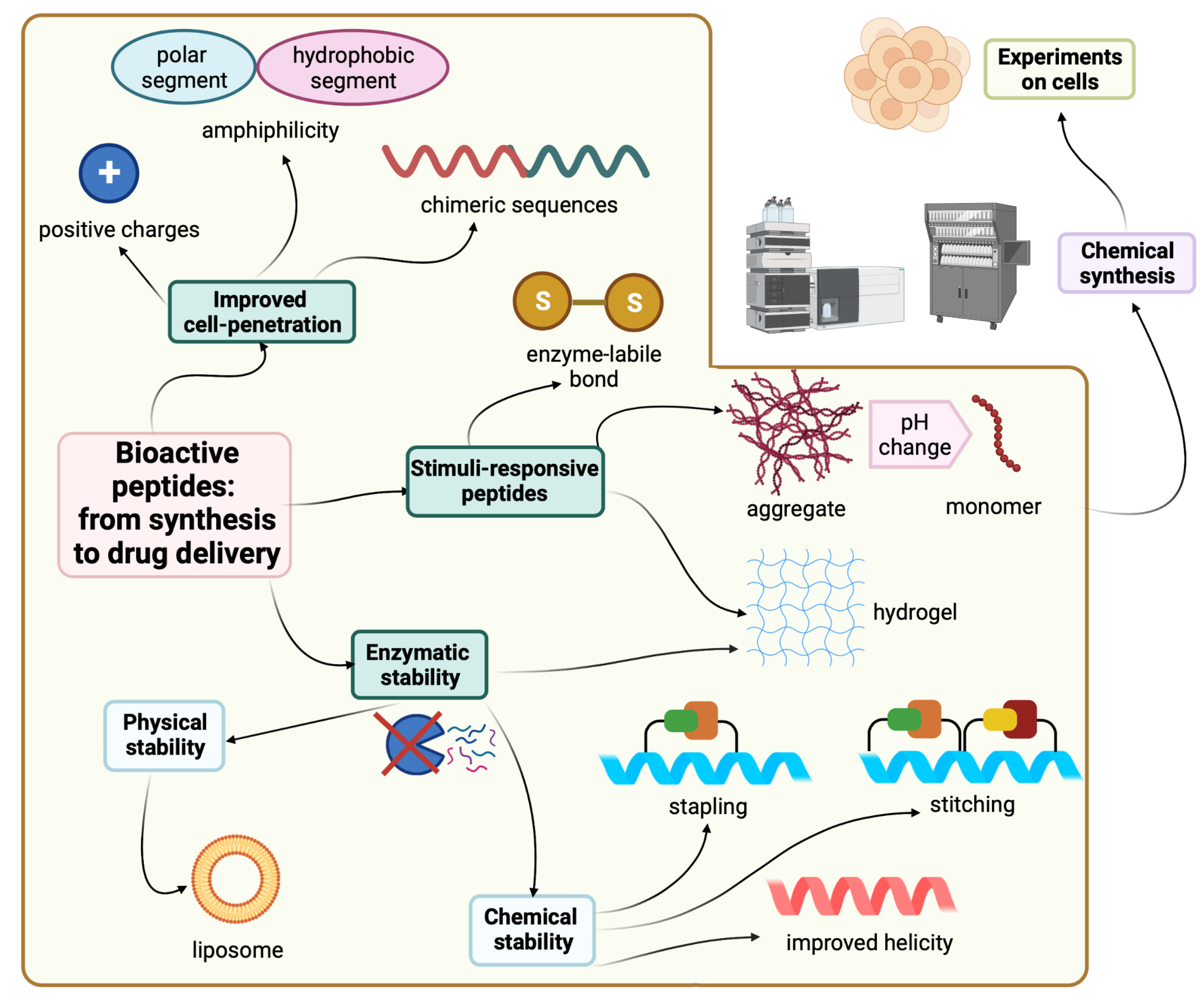 Pharmaceuticals 15 01283 g001