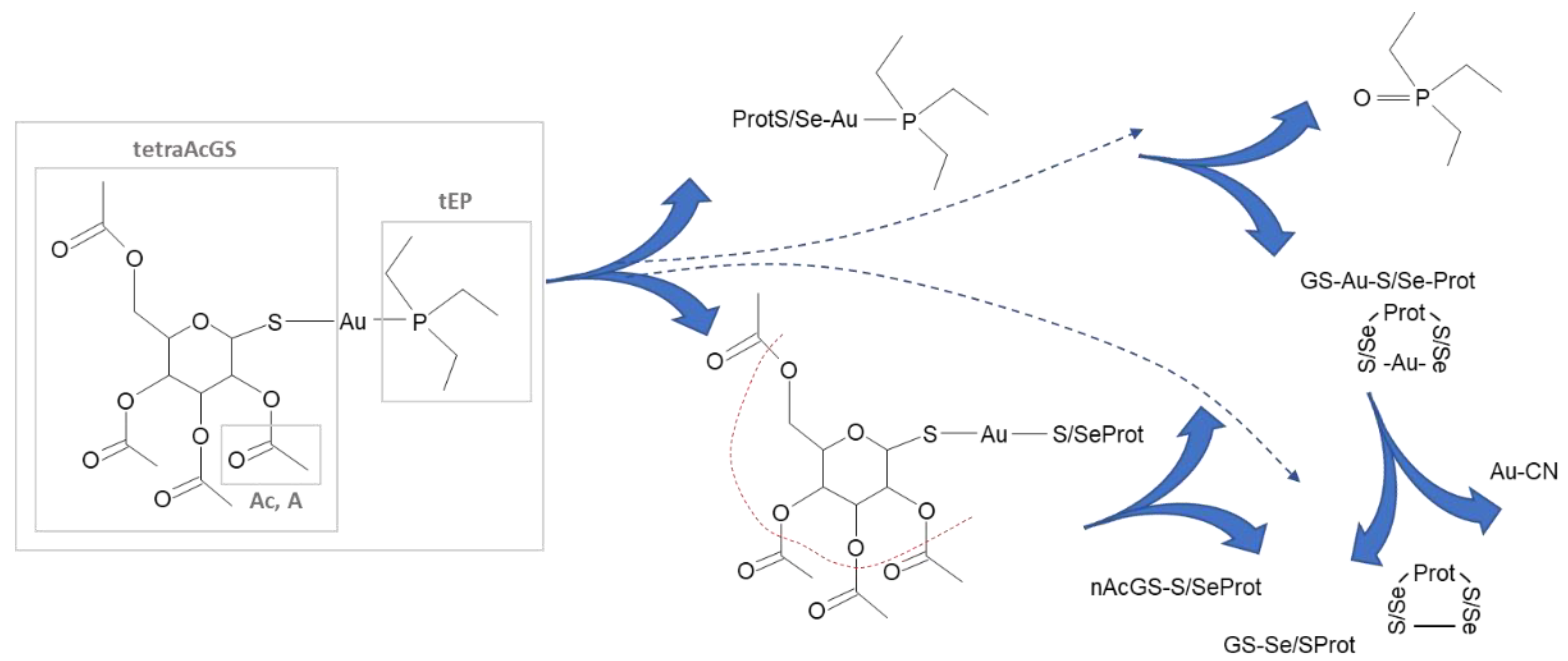 Pharmaceuticals 15 01285 g001 Pharmaceuticals 15 01285 g001