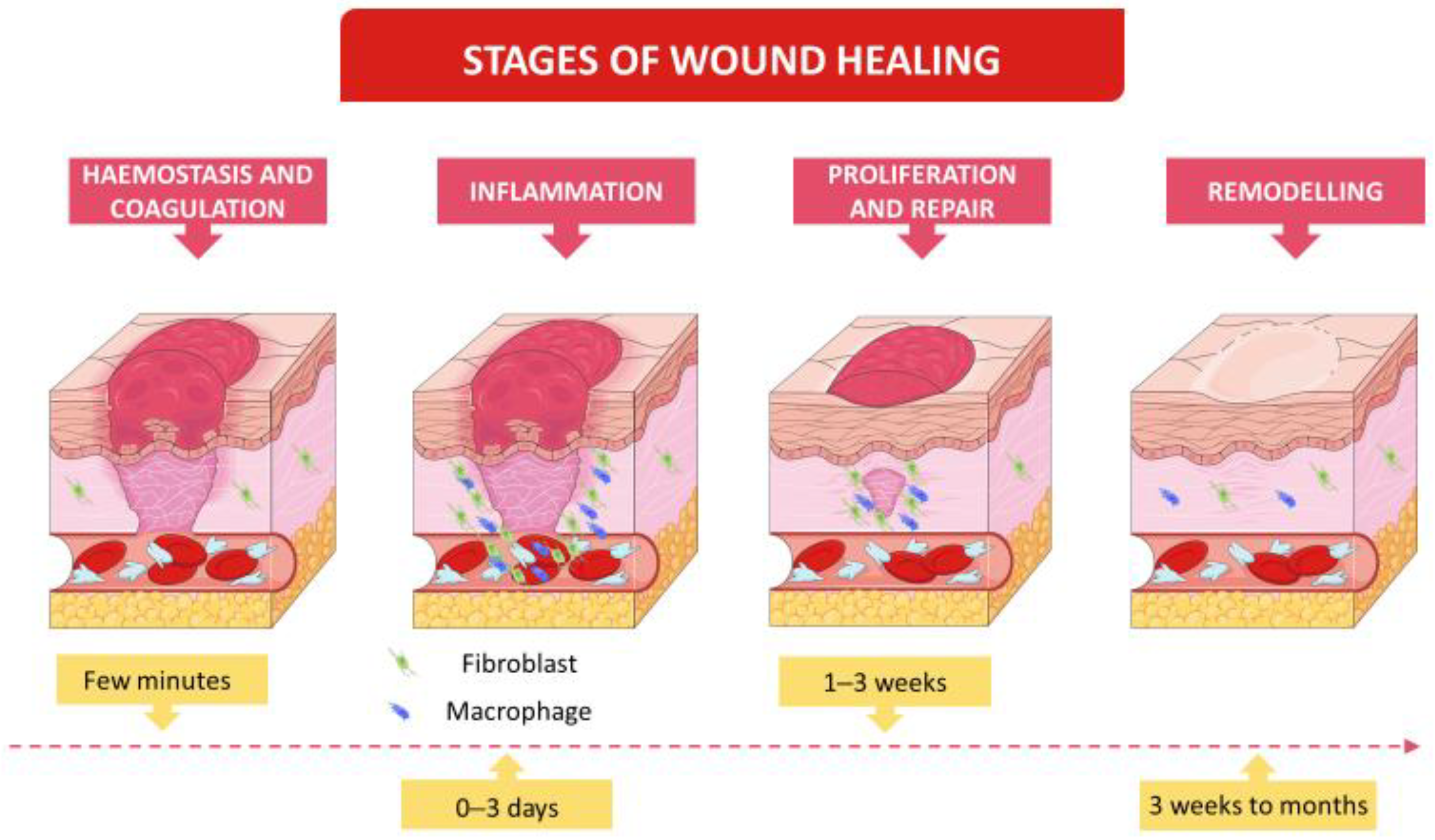 Pharmaceuticals 15 01286 g001 Pharmaceuticals 15 01286 g001