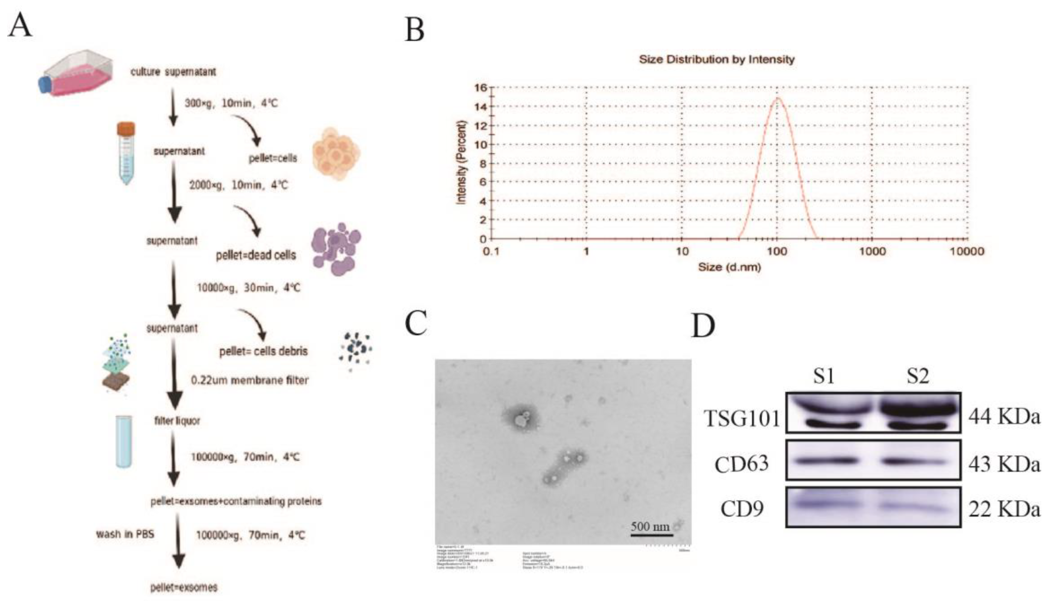 Pharmaceuticals 15 01287 g001 Pharmaceuticals 15 01287 g001