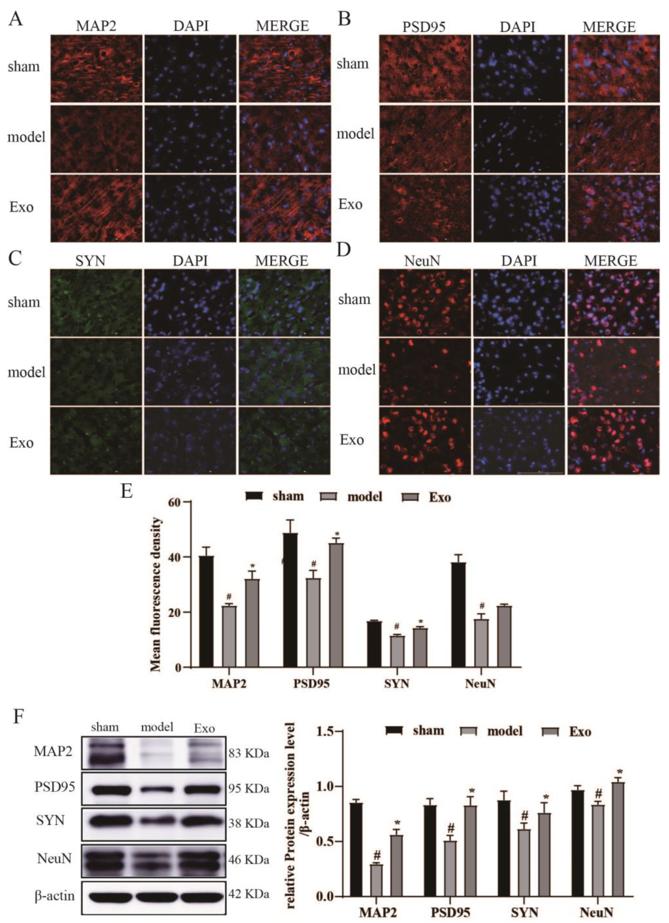 Pharmaceuticals 15 01287 g006 Pharmaceuticals 15 01287 g006