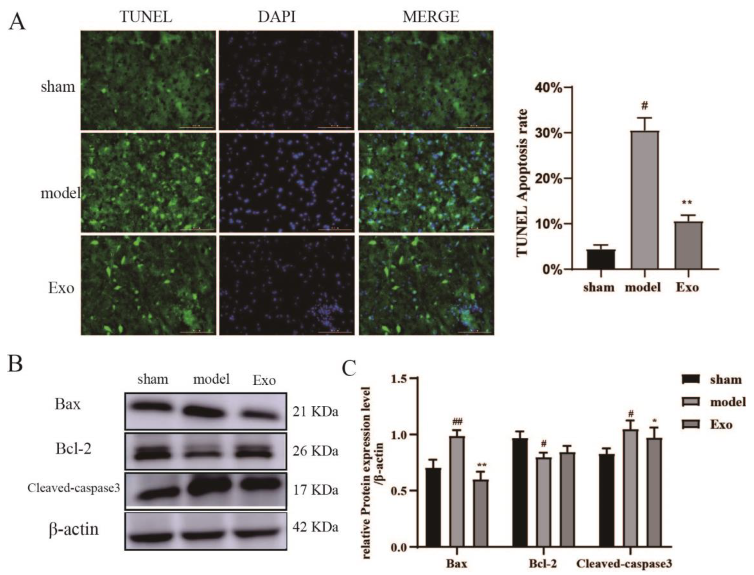 Pharmaceuticals 15 01287 g007 Pharmaceuticals 15 01287 g007