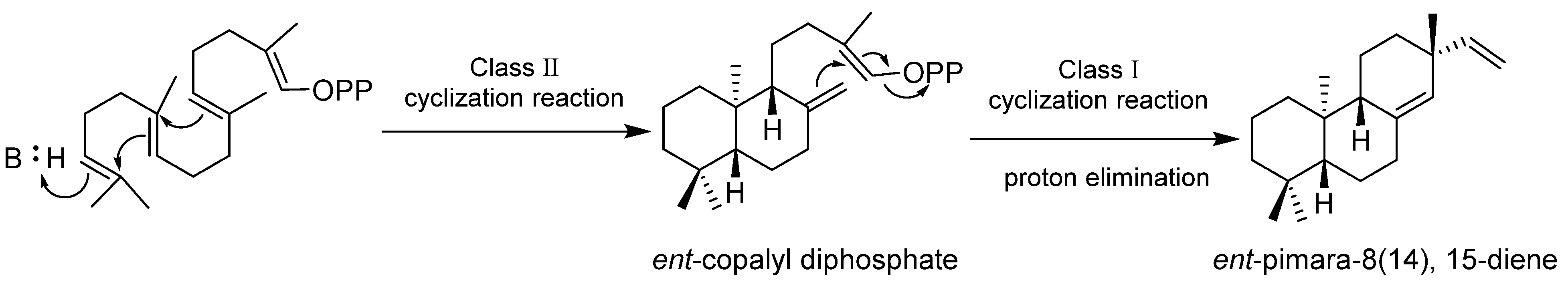 Pharmaceuticals 15 01291 g021 Pharmaceuticals 15 01291 g021