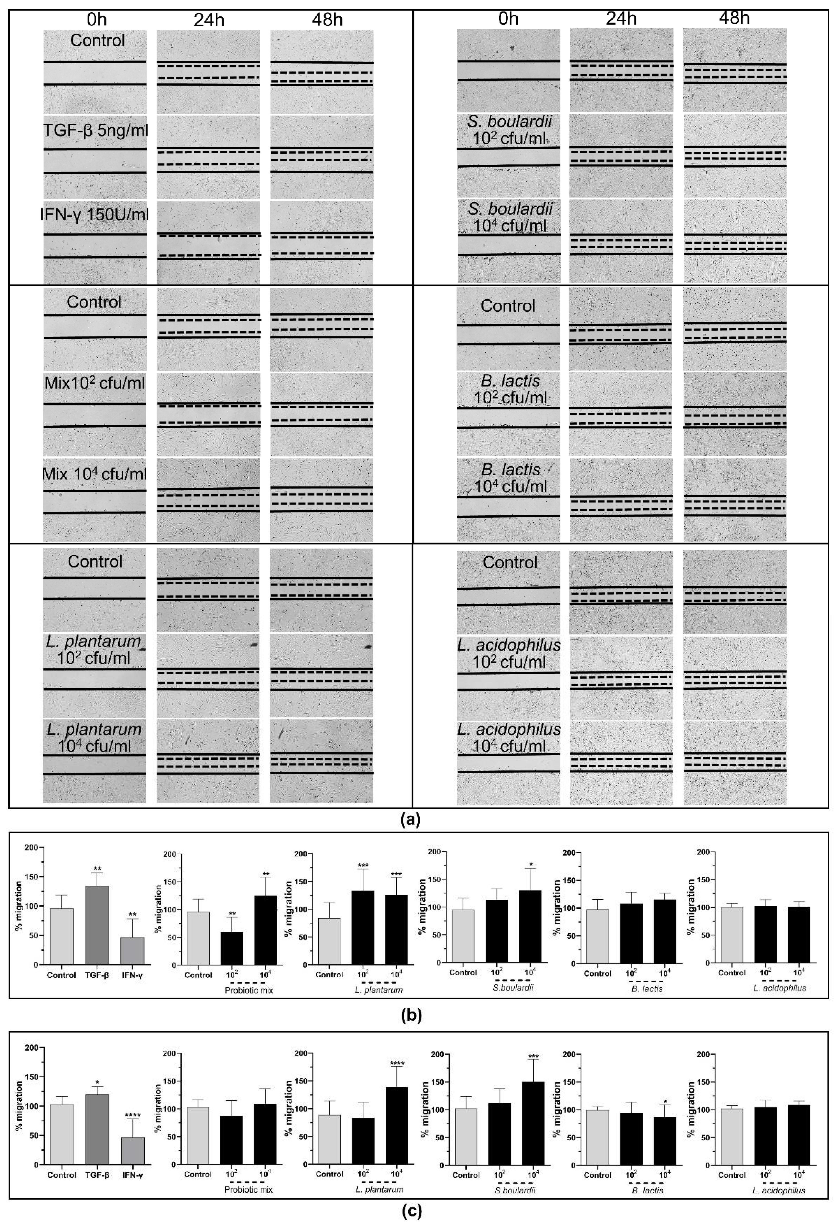 Pharmaceuticals 15 01293 g012 Pharmaceuticals 15 01293 g012