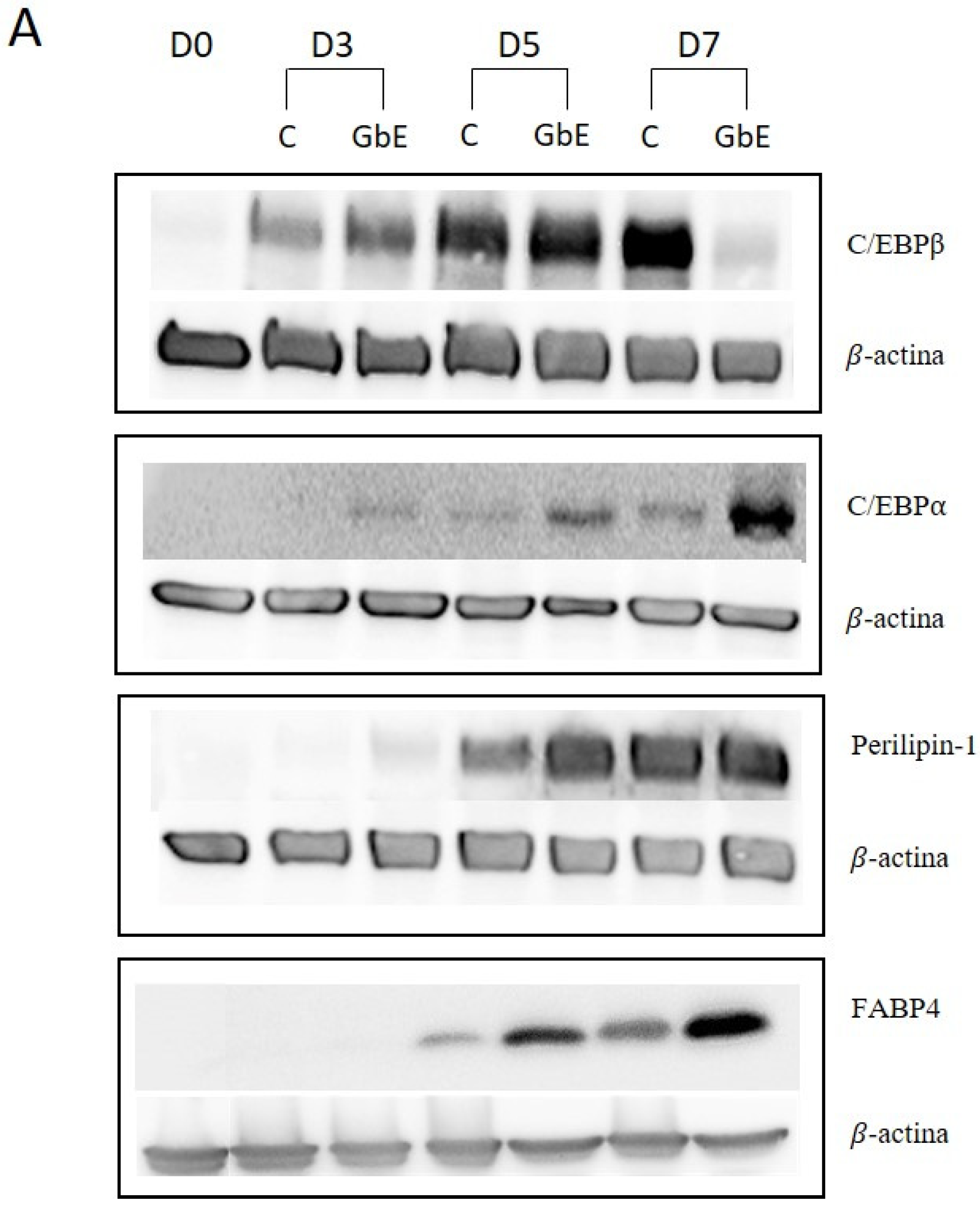 Pharmaceuticals 15 01294 g004a Pharmaceuticals 15 01294 g004a