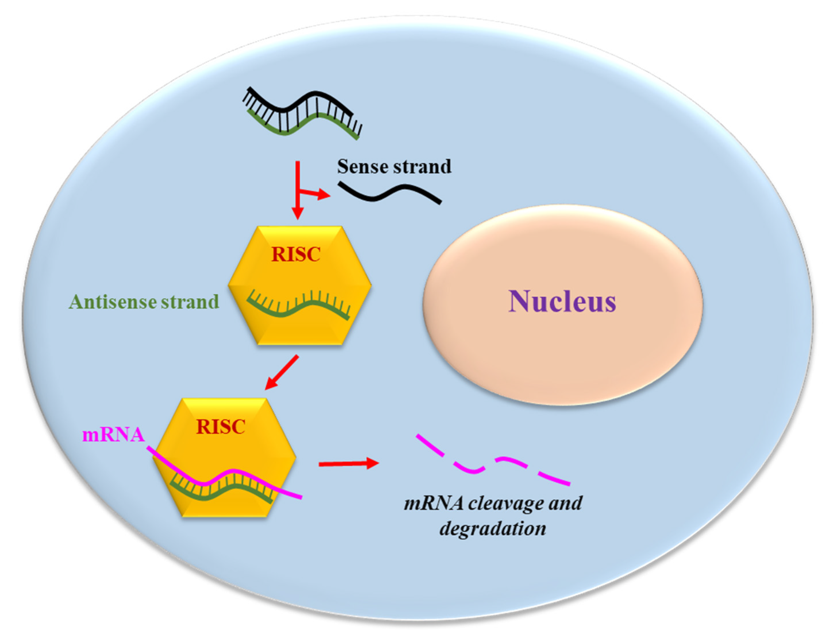 Pharmaceuticals 15 01295 g001 Pharmaceuticals 15 01295 g001