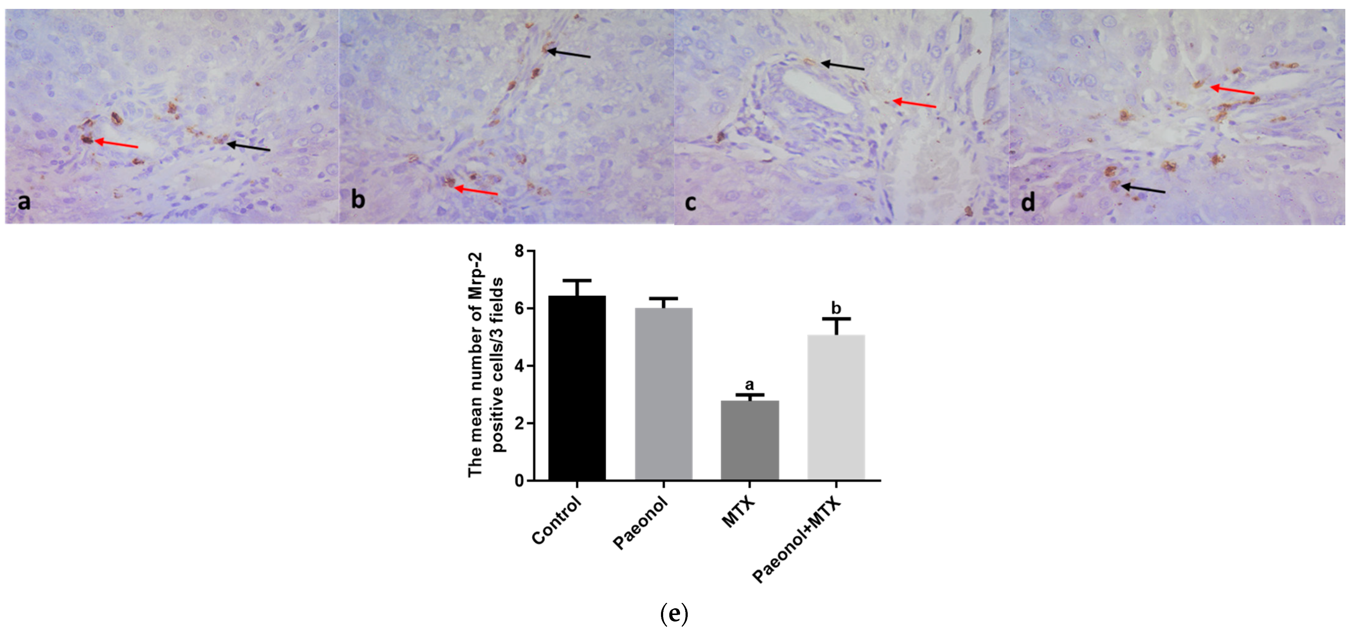 Pharmaceuticals 15 01296 g008 Pharmaceuticals 15 01296 g008
